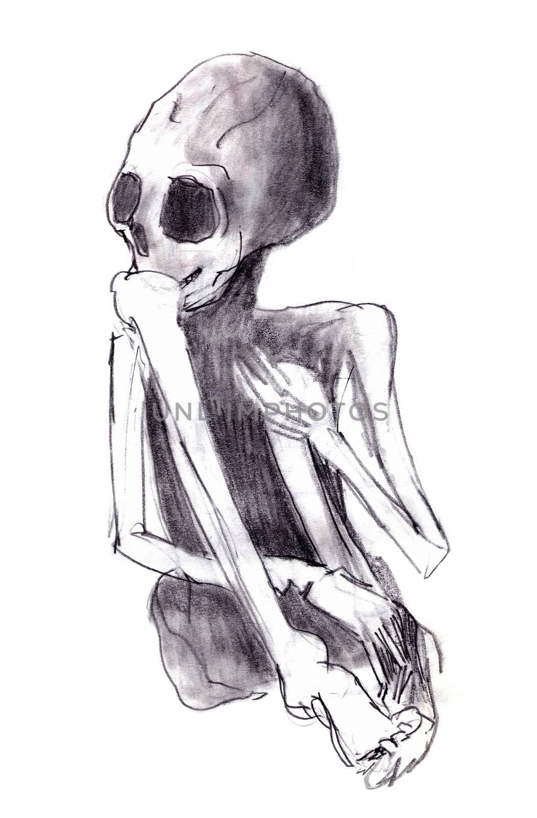 Illustration of the crouched skeleton