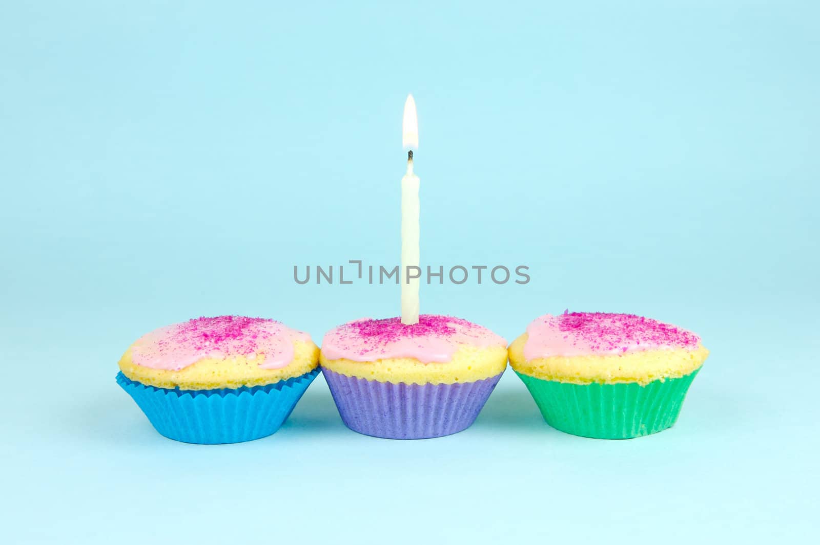 Cup cakes isolated against a blue background