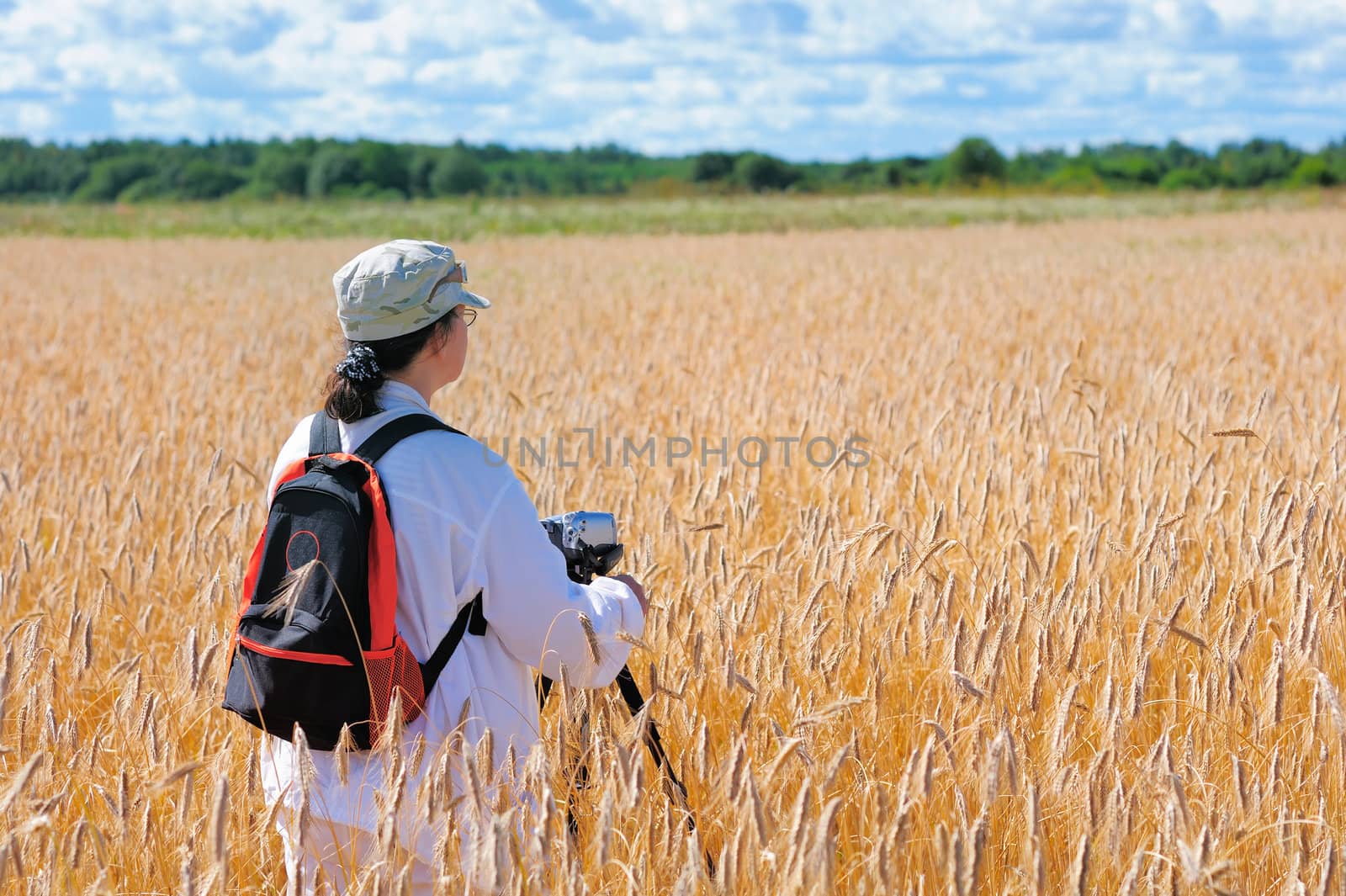 Wheat field by styf22