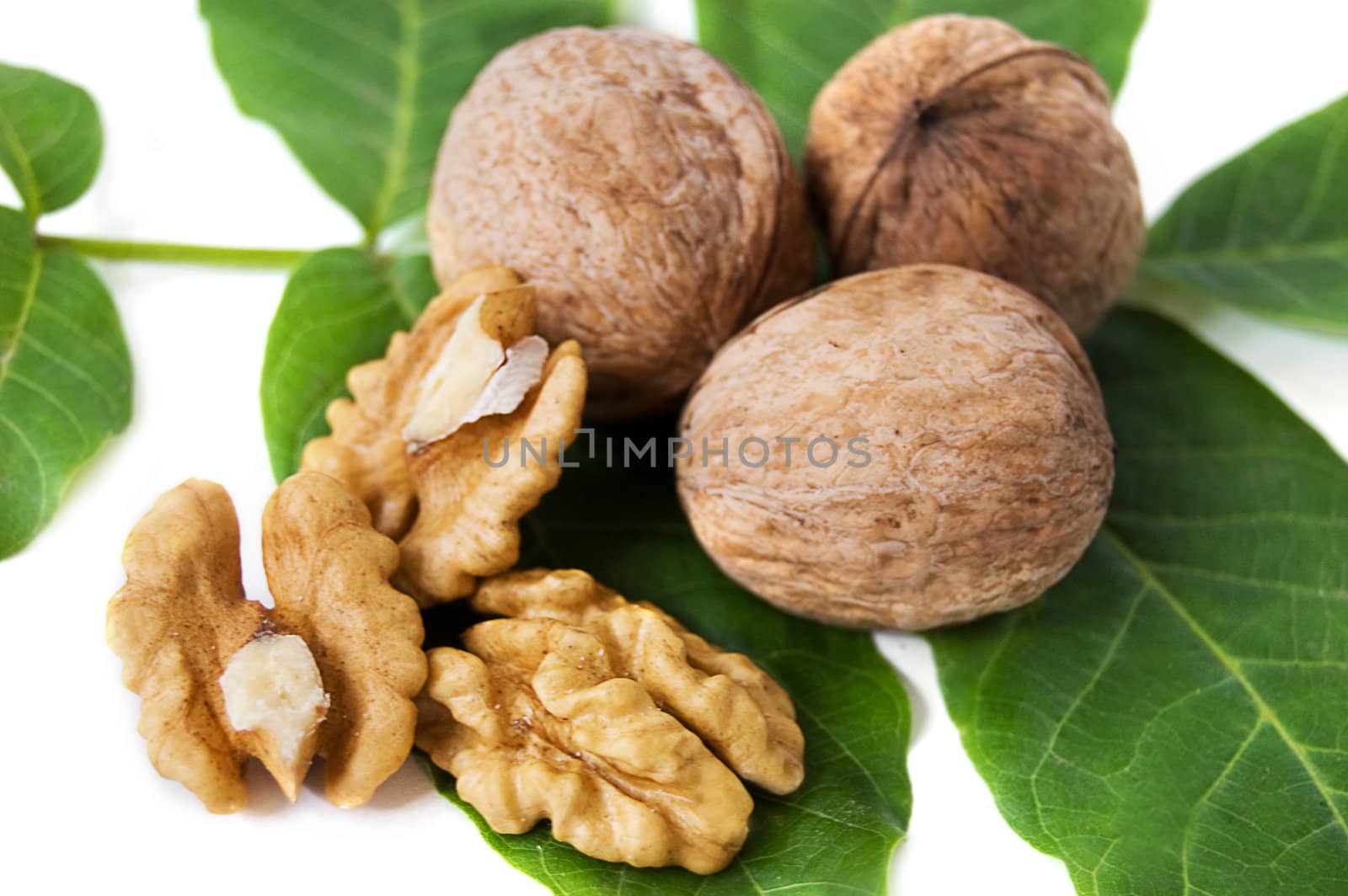 Walnut kernels and green leaves over white