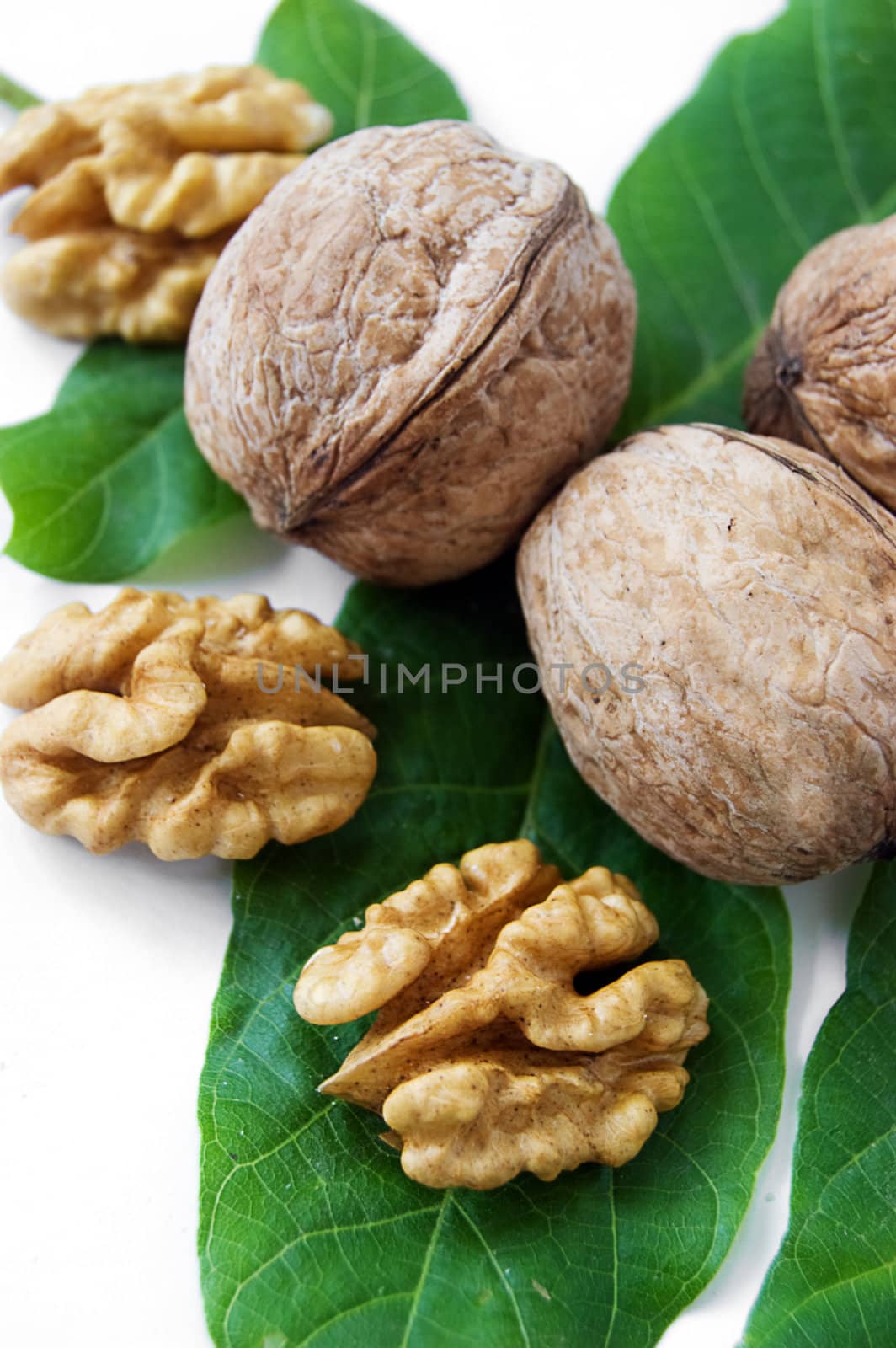 Walnut kernel and green leaves over white