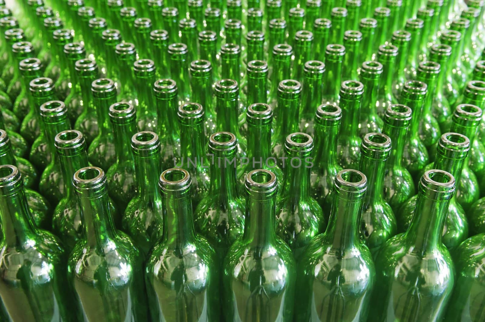 Large group of green recycled glass wine bottles