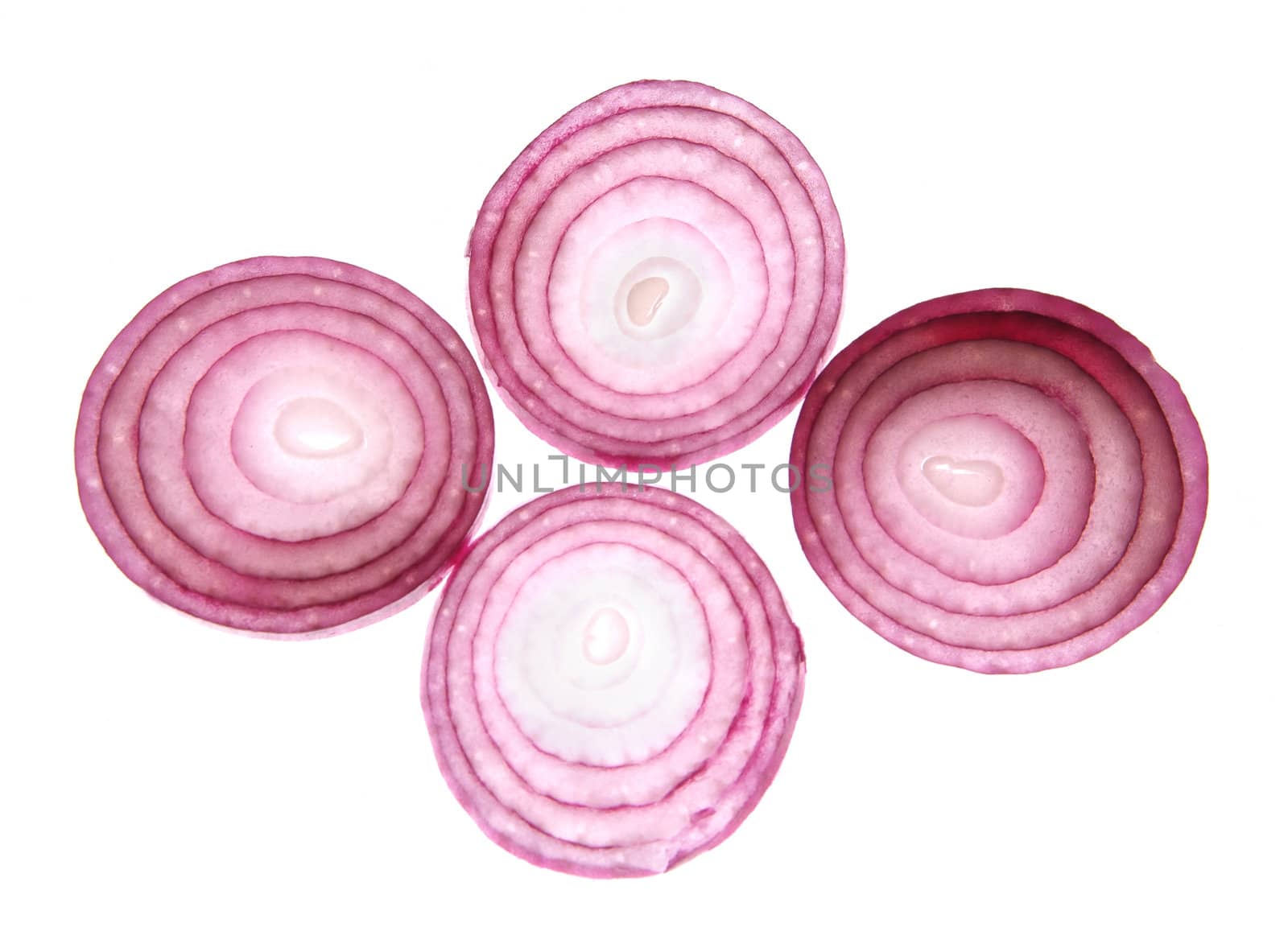 Slices of red onion by palomnik