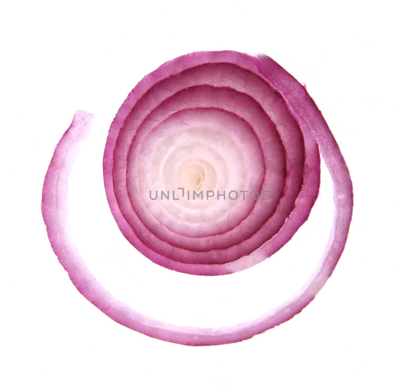 Slices of red onion by palomnik