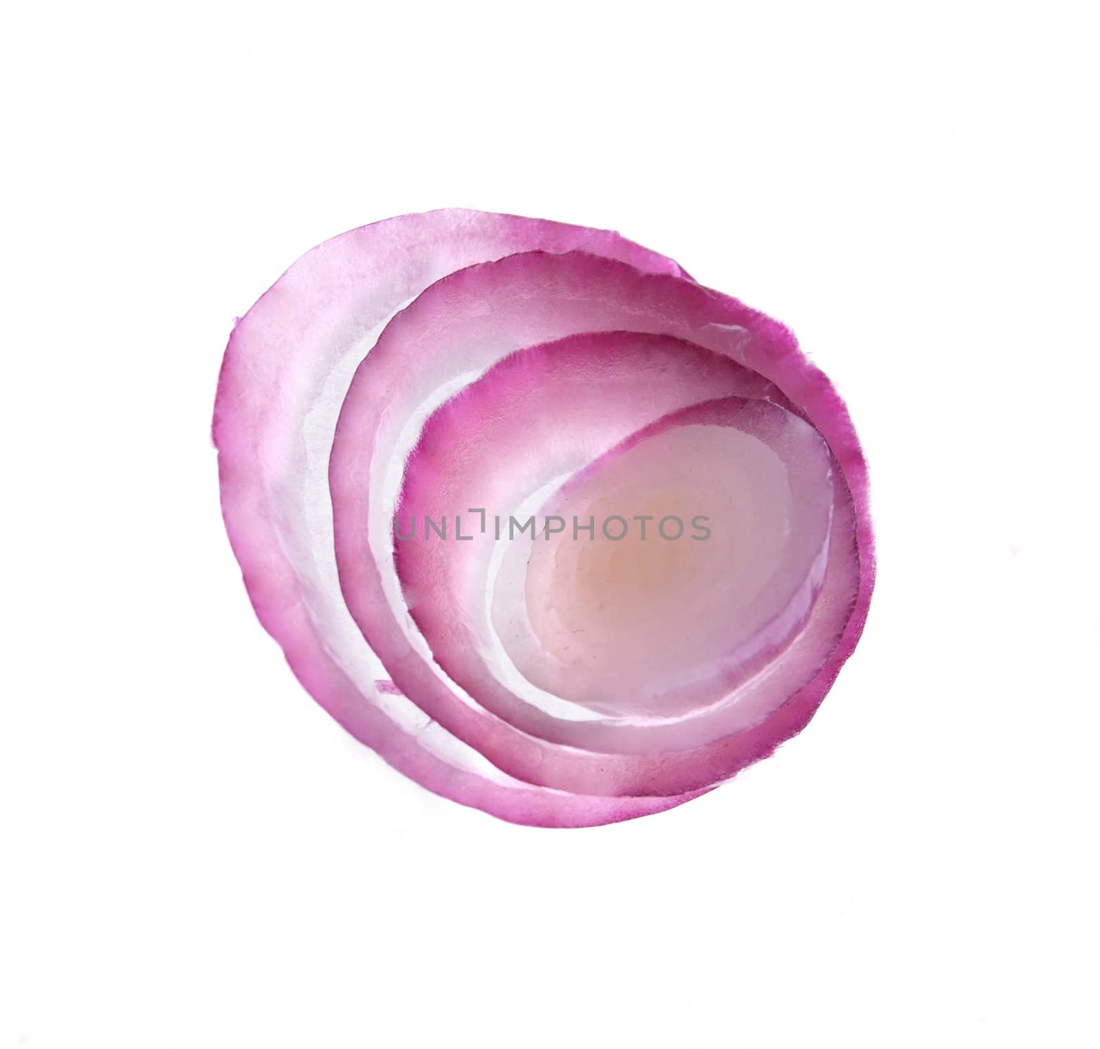 Slices of red onion by palomnik