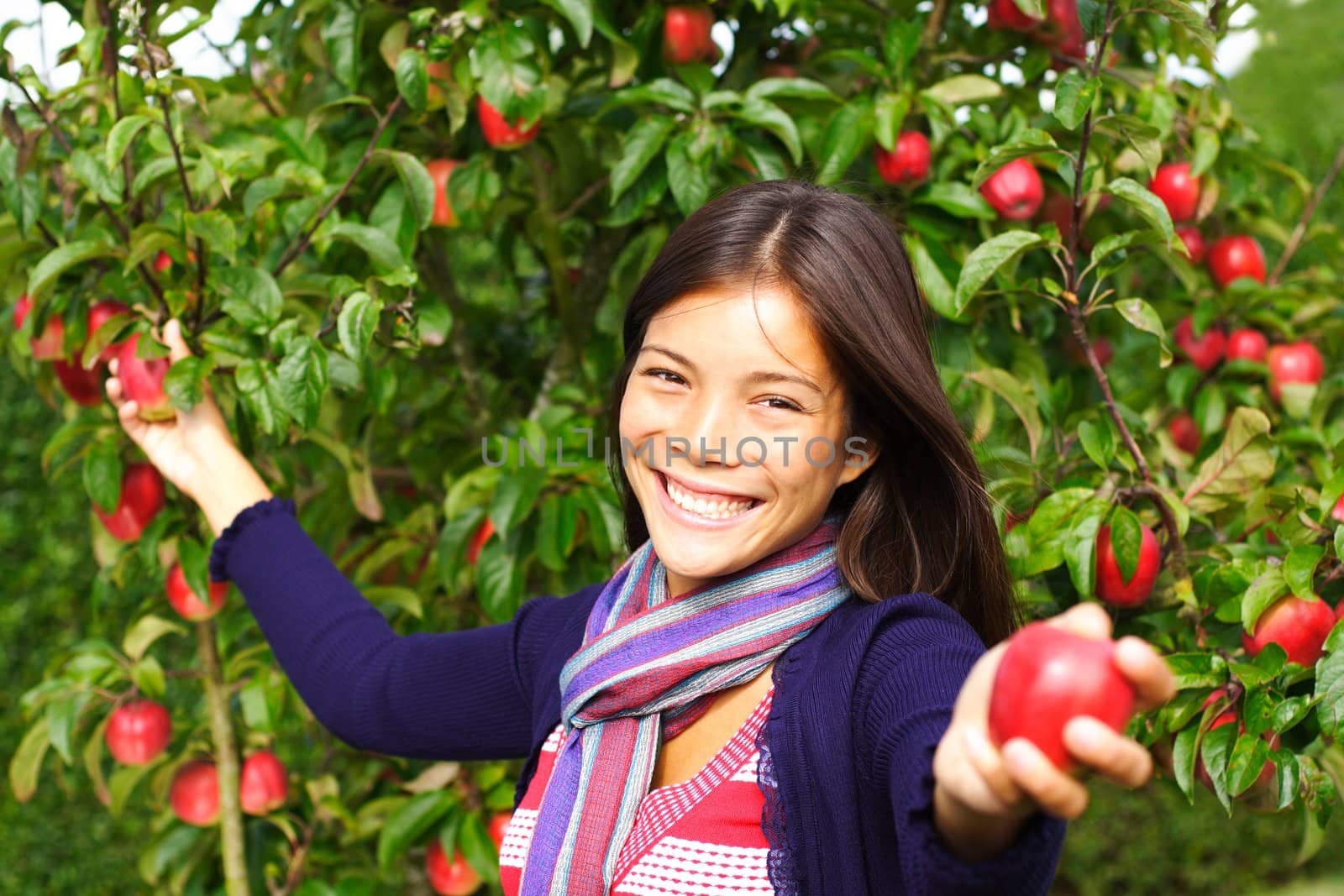 Smiling autumn woman picking and giving apples from tree.