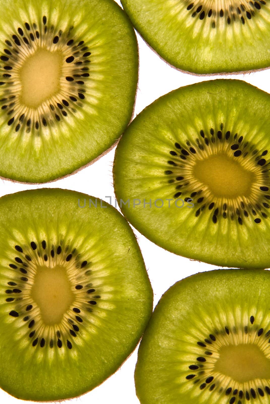 Slices of kiwi by palomnik