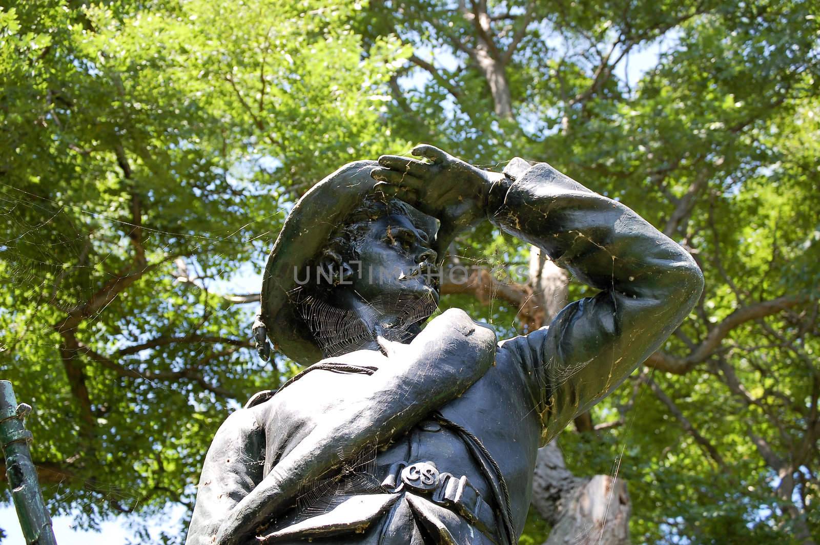 Confederate Solder Looks On by RefocusPhoto