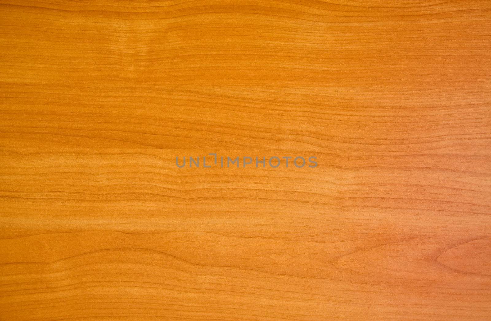 Wood texture by rozhenyuk