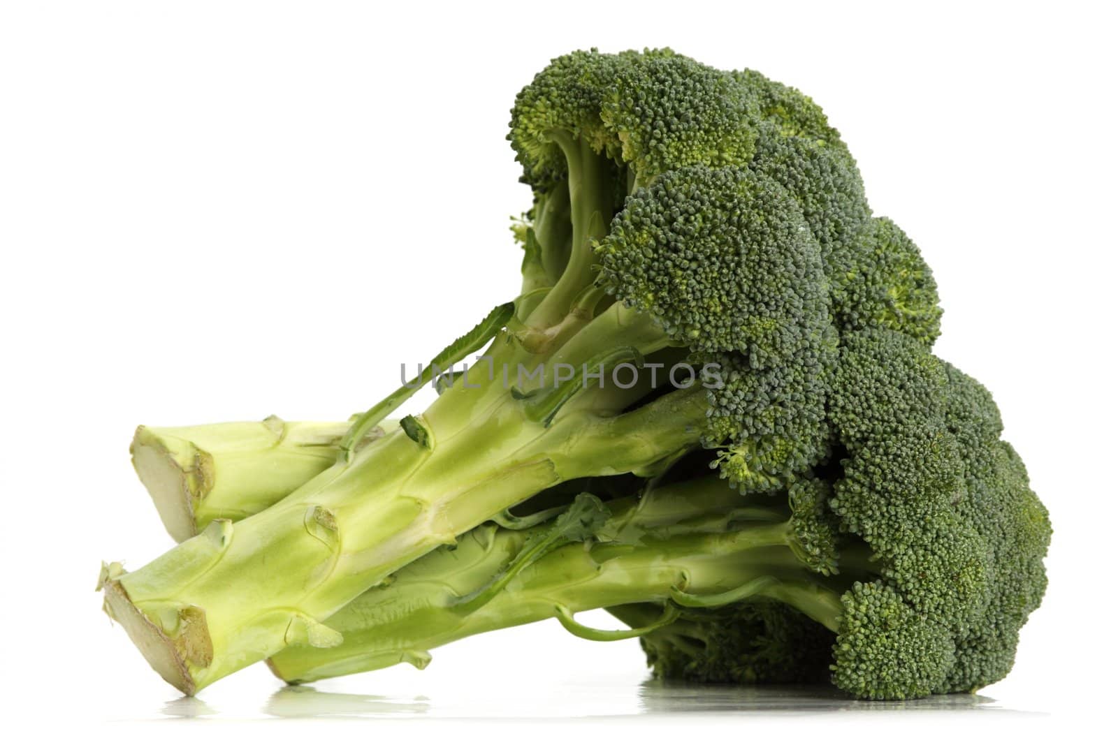 broccoli by lanalanglois