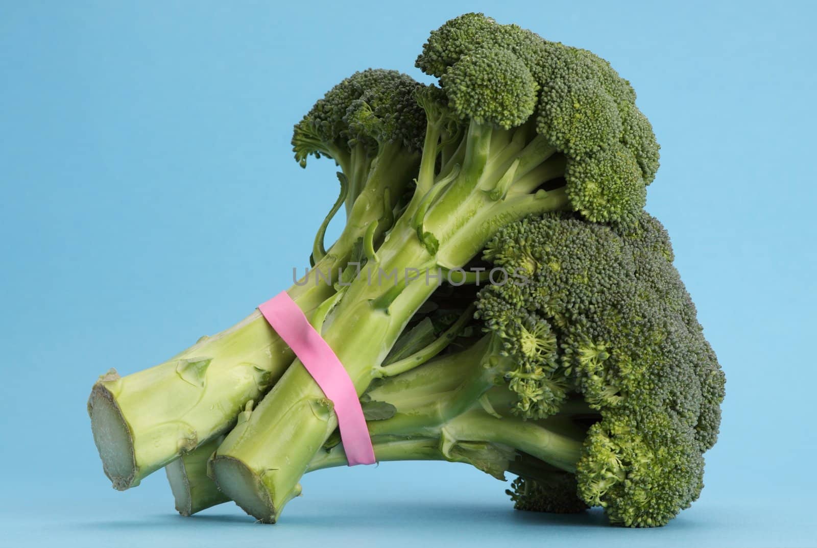 fresh raw broccoli, blue background