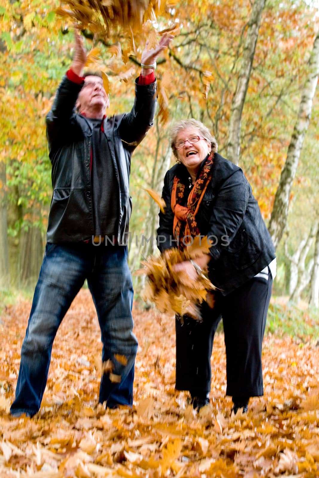 Happy older couple in the autumn forest