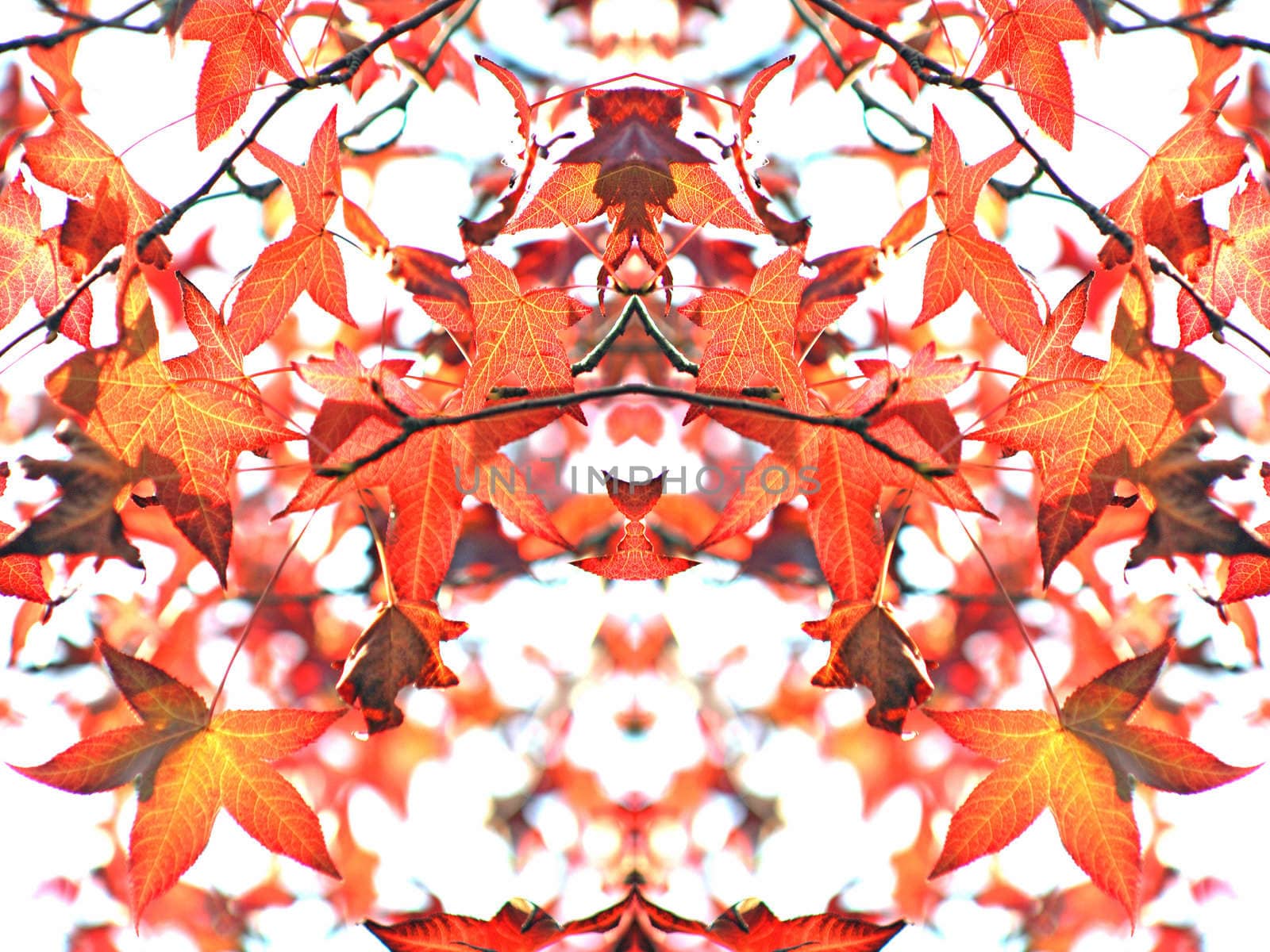 nice and cold autumn landscape