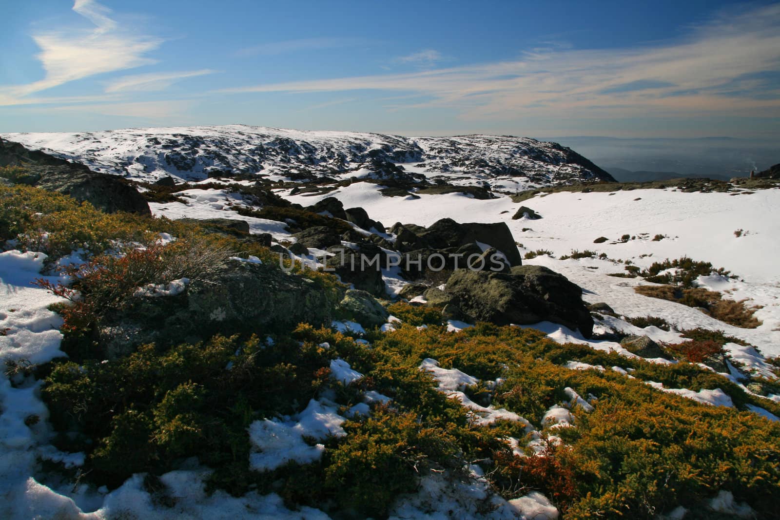 cold winter landscape with snow