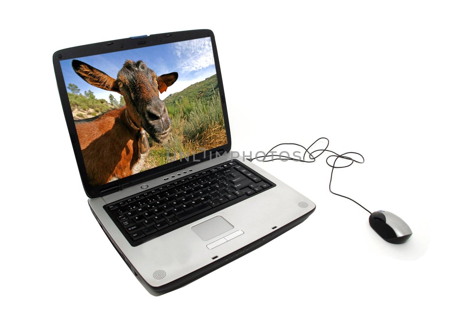 Portable Pc over white background