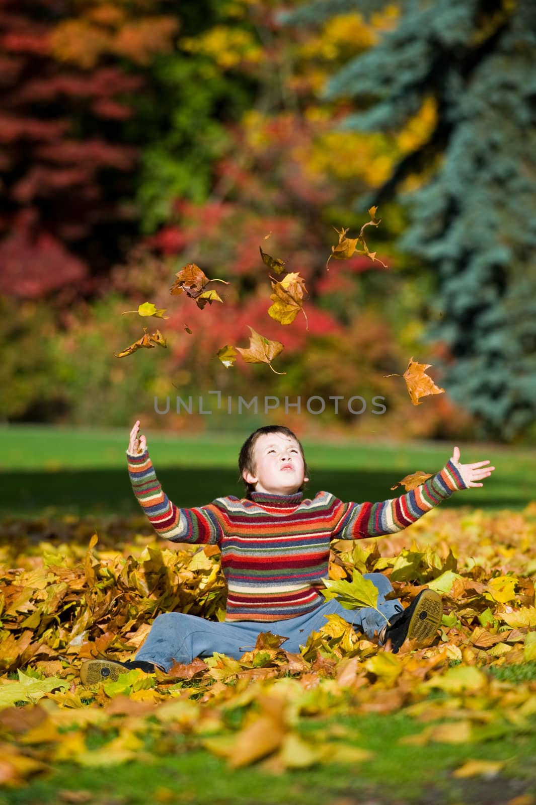 boy jumping in pile of leaves