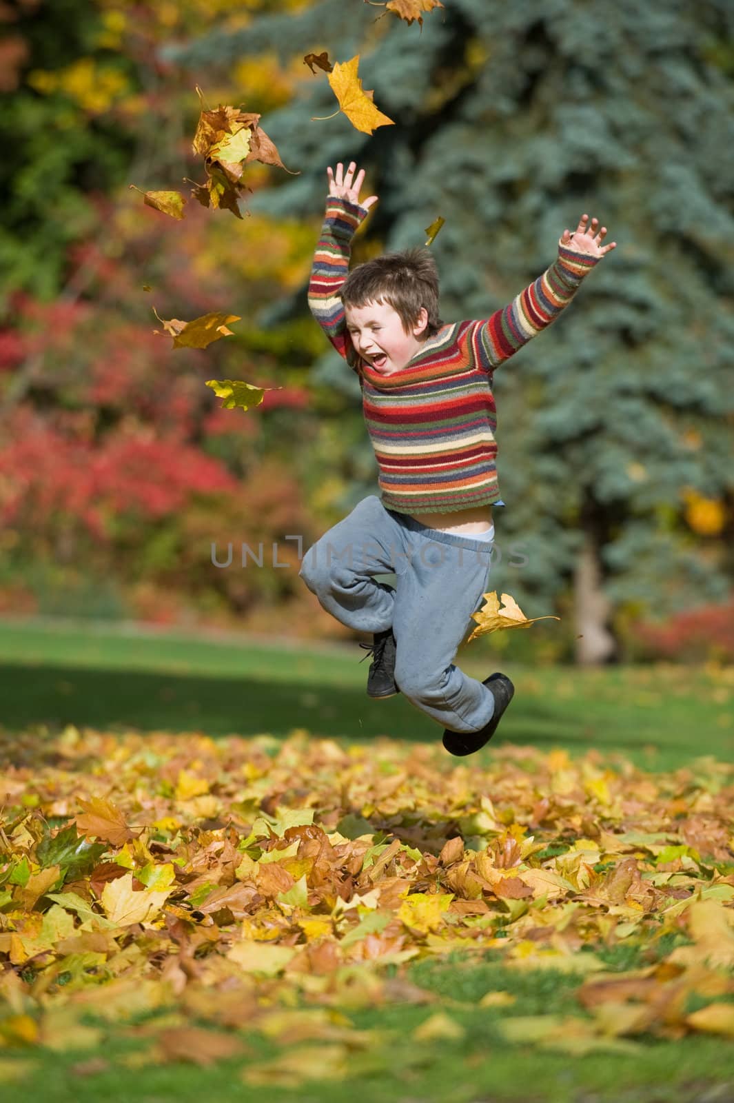 boy jumping in pile of leaves