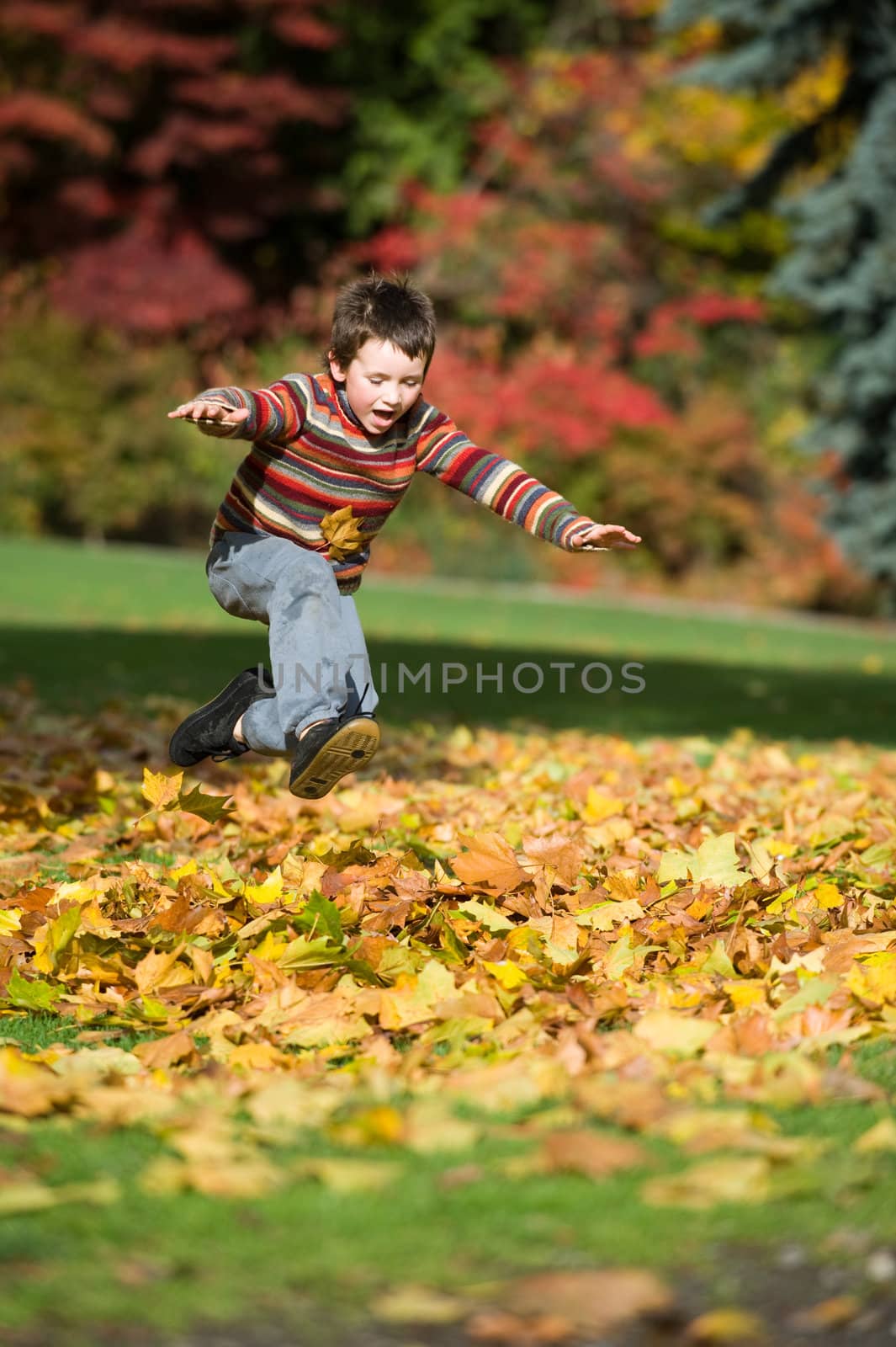 boy jumping in pile of leaves