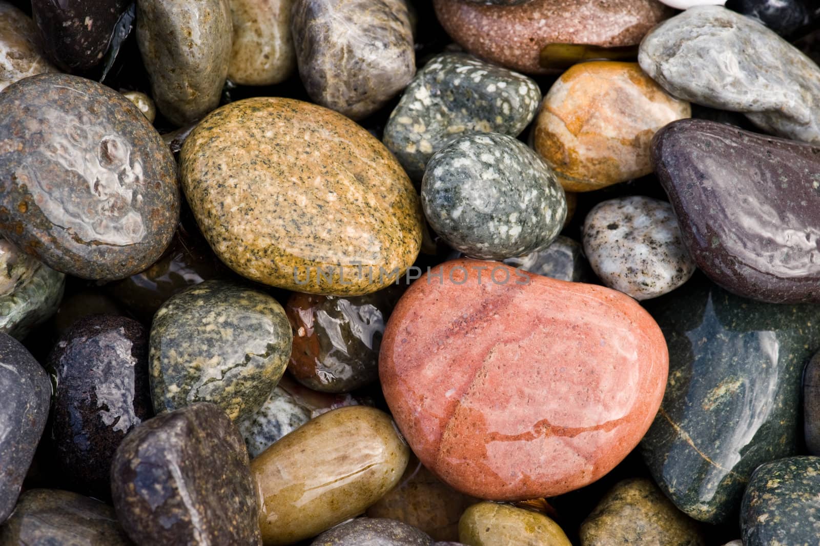 rocky beach detail by rongreer