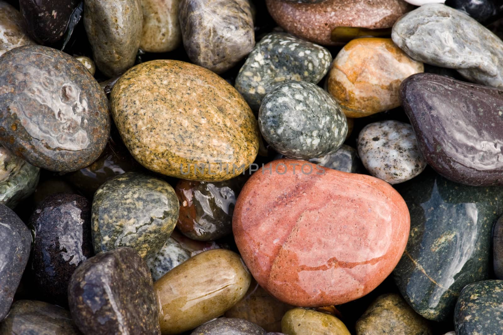 detail of rocky beach