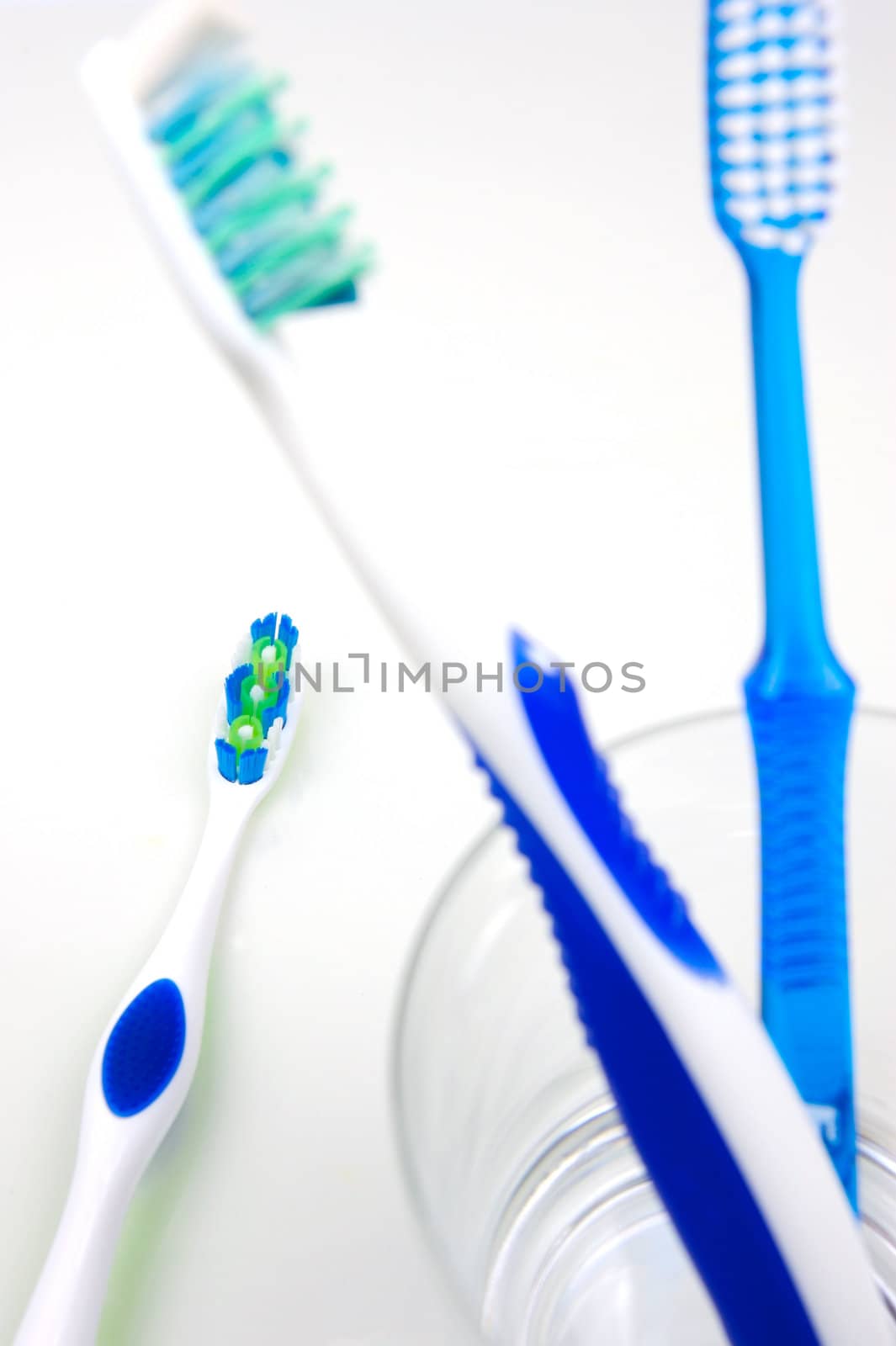 Dental Care by Kitch