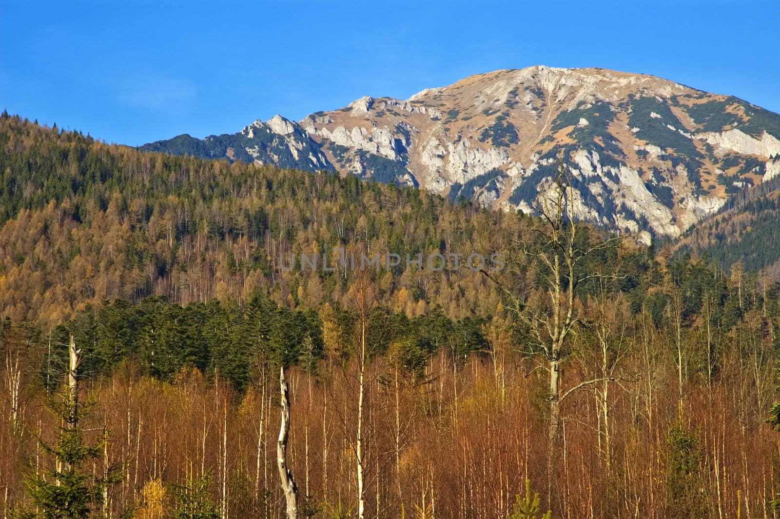 High Tatras Mountains in Slovakia.