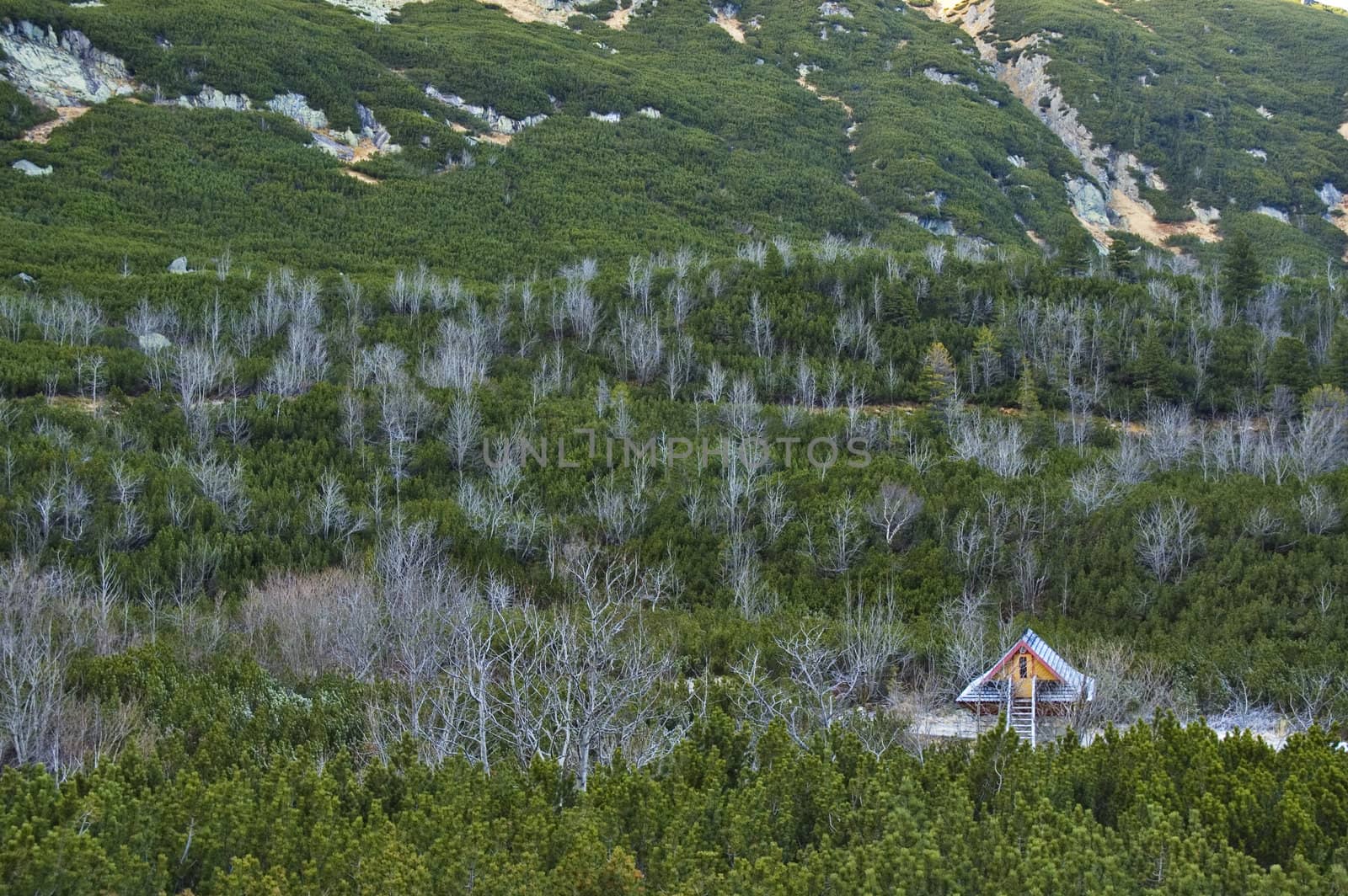 Little wooden house in High Tatras Mountains in Slovakia.