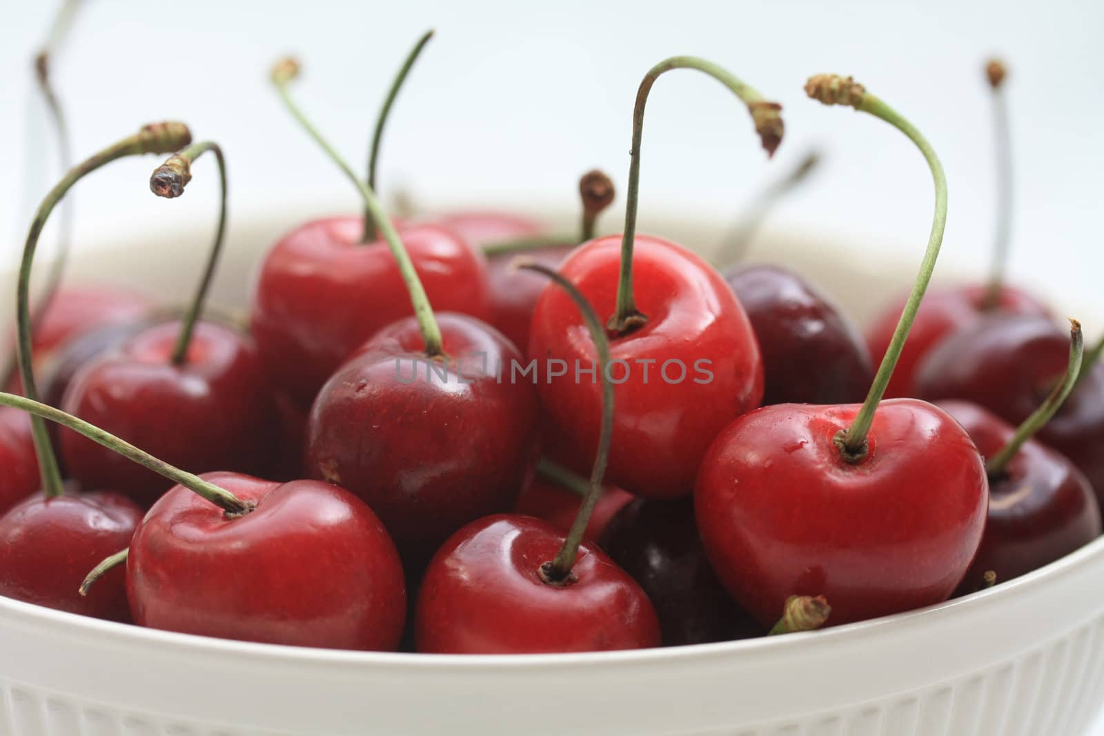A group of juicy, fresh cherries in a white bowl