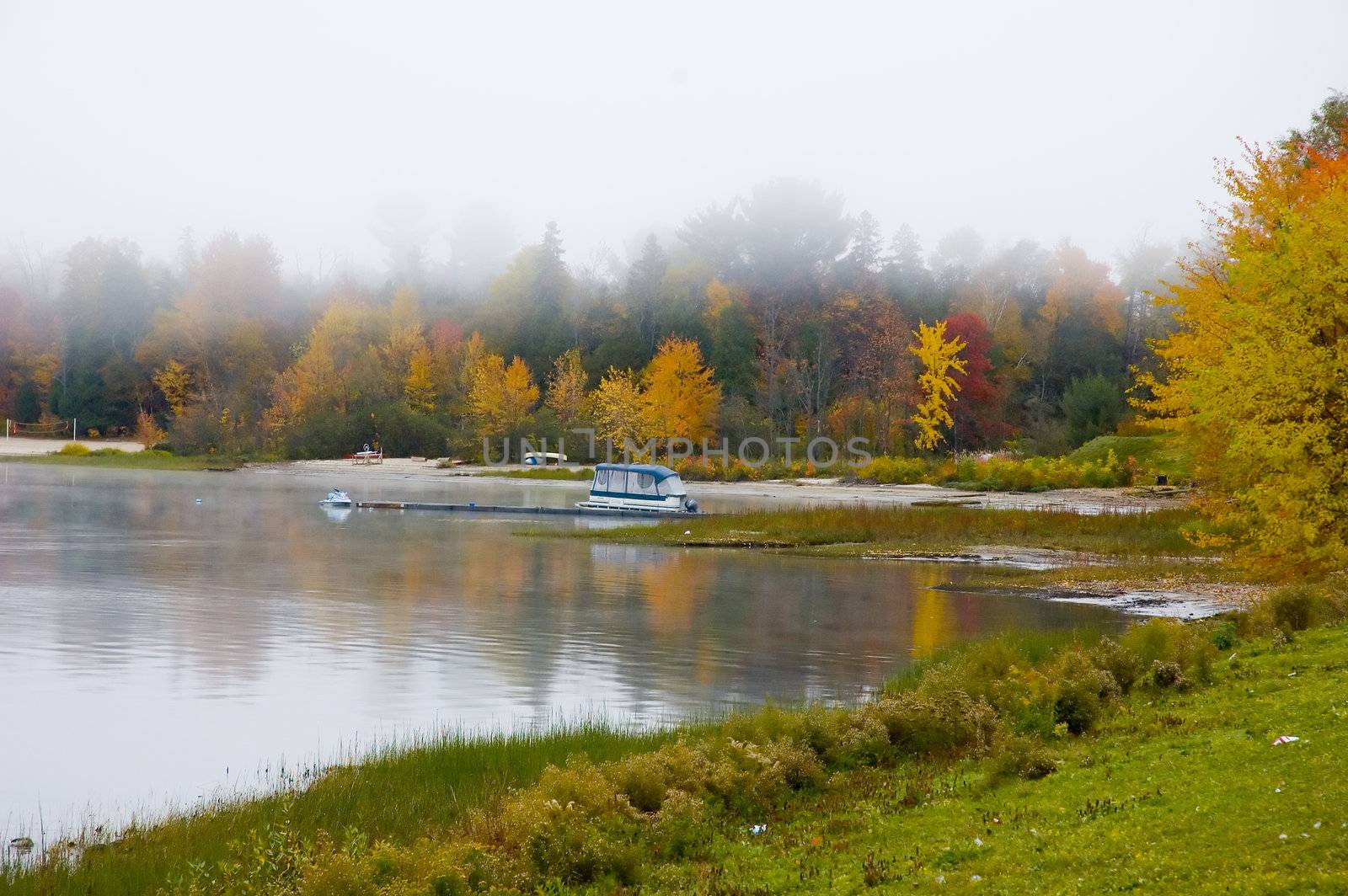 a foggy desert beach during the fall season