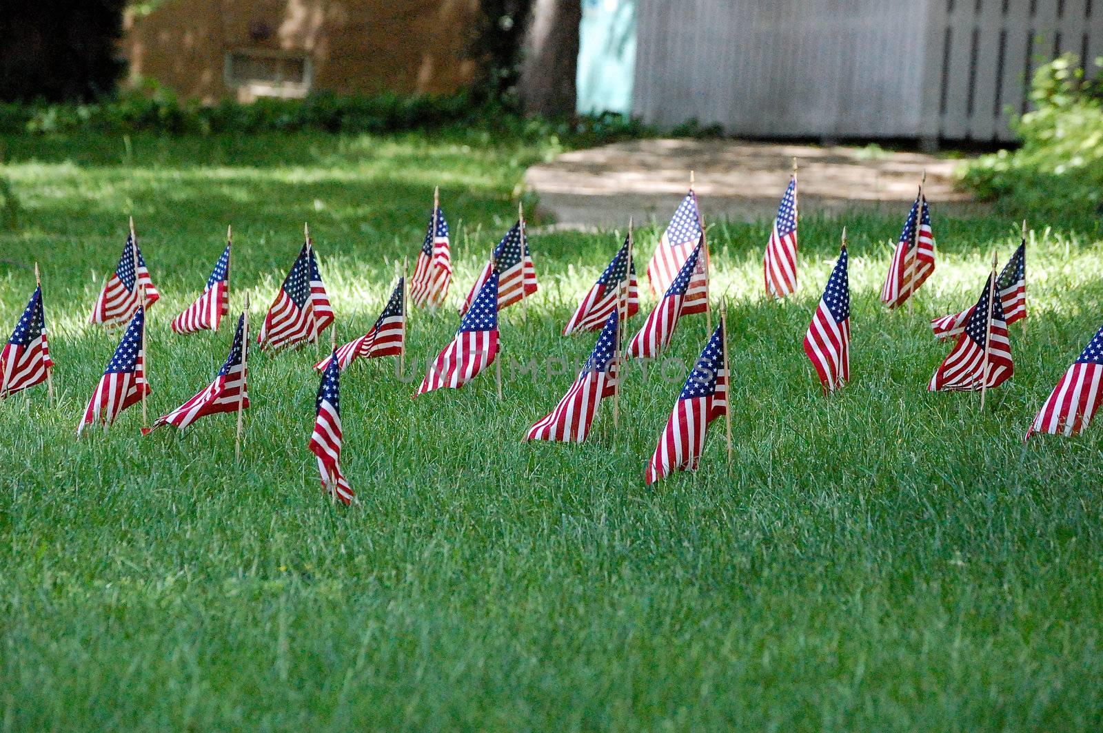 Flags in the grass by RefocusPhoto