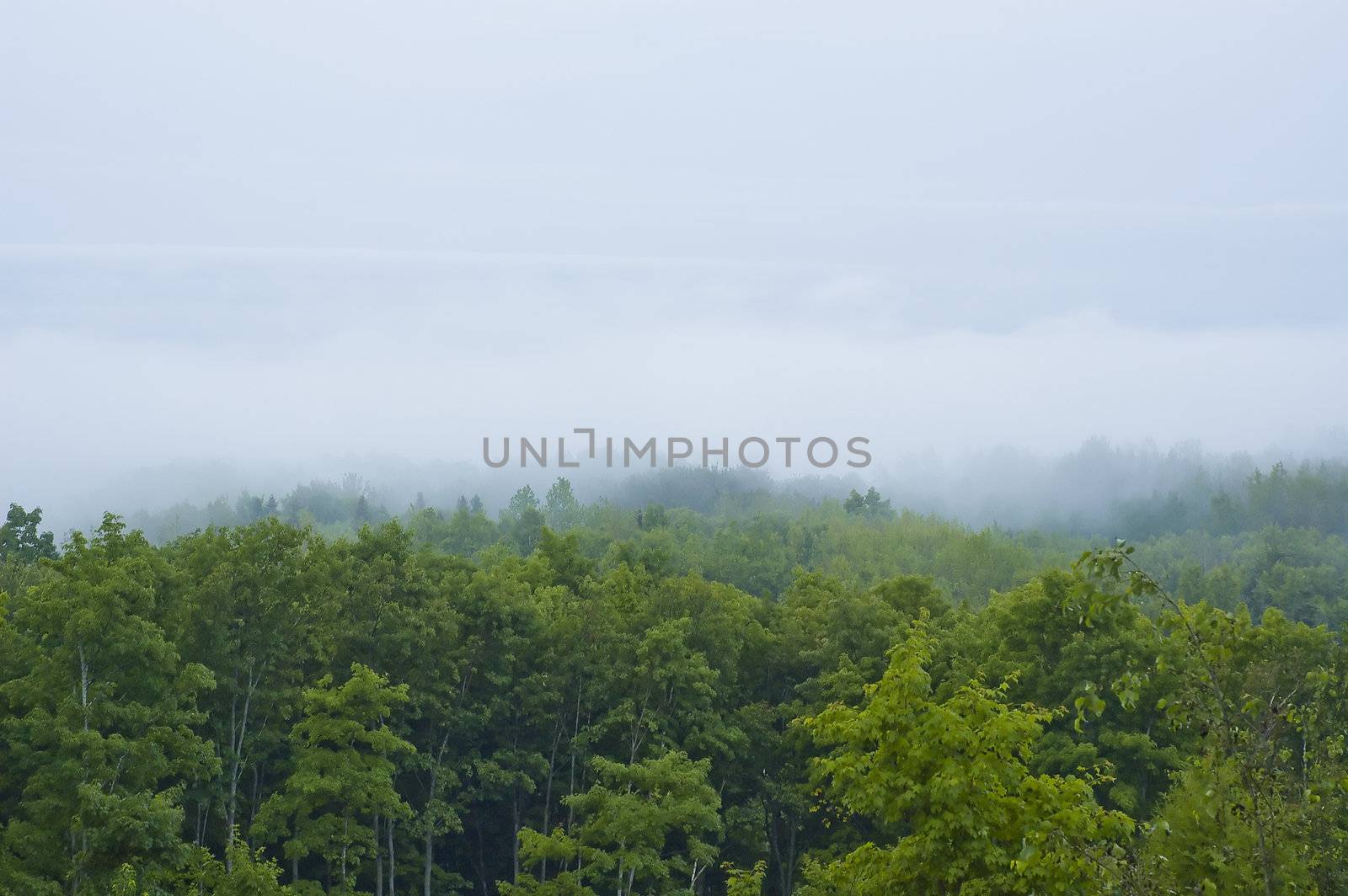 foggy landscape by vladikpod