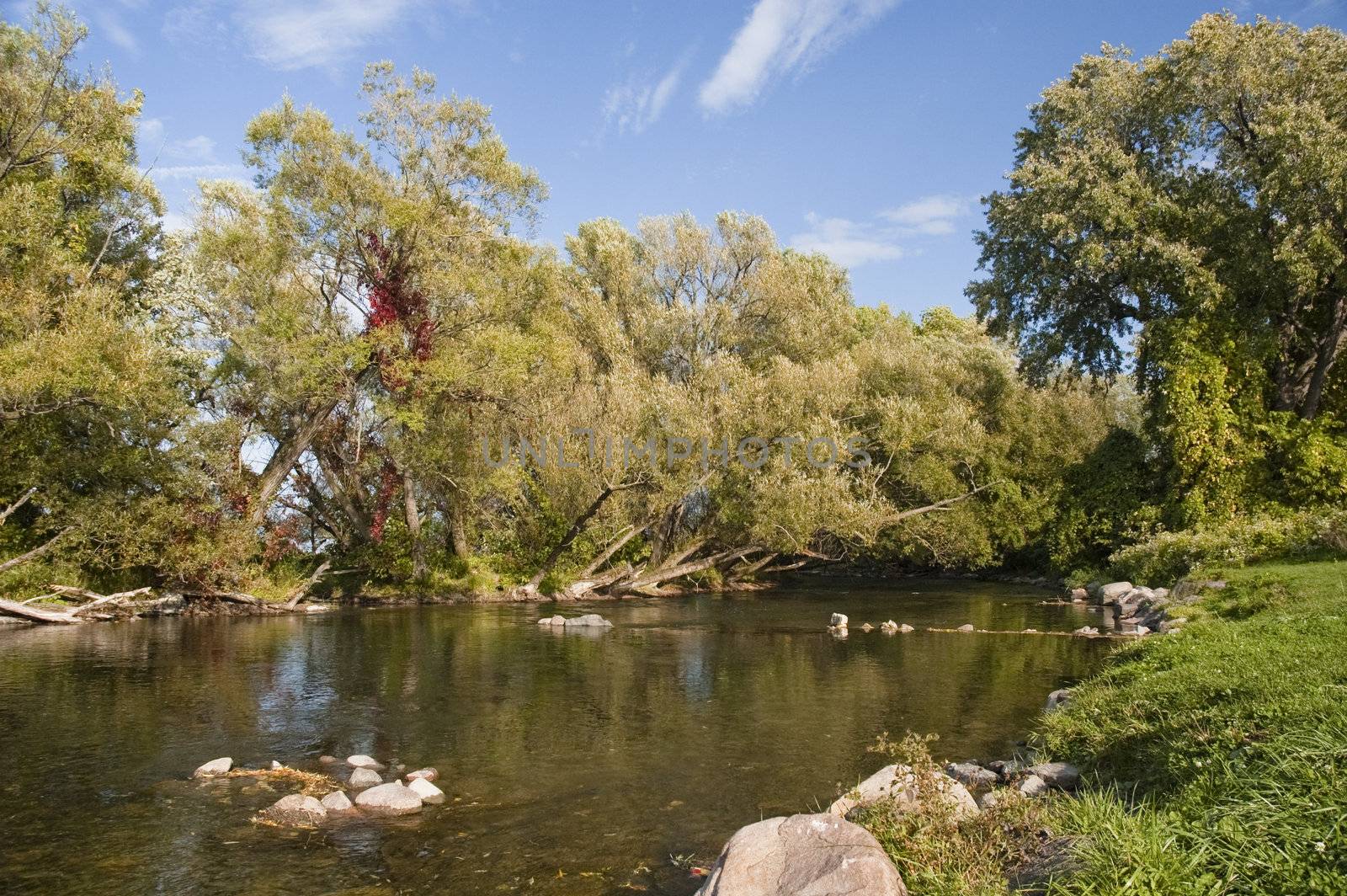a calm river during the late summer season