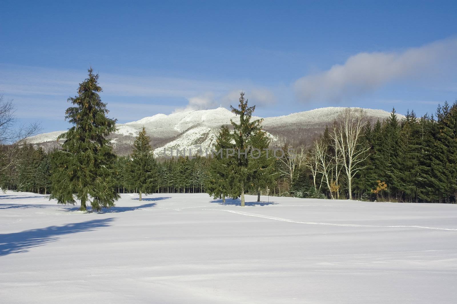 winter landscape by vladikpod