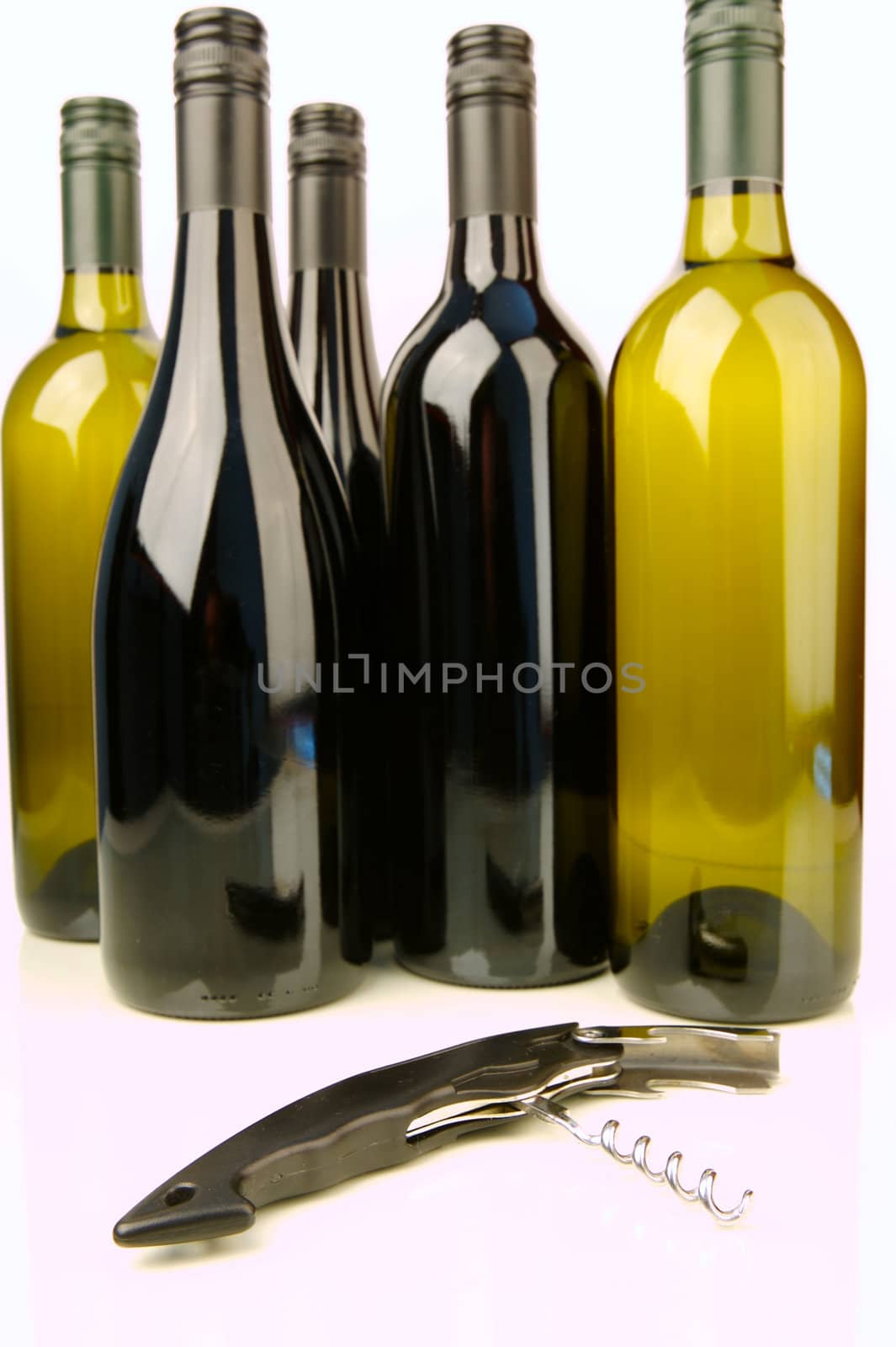 Bottles of red and white wine isolated against a white background