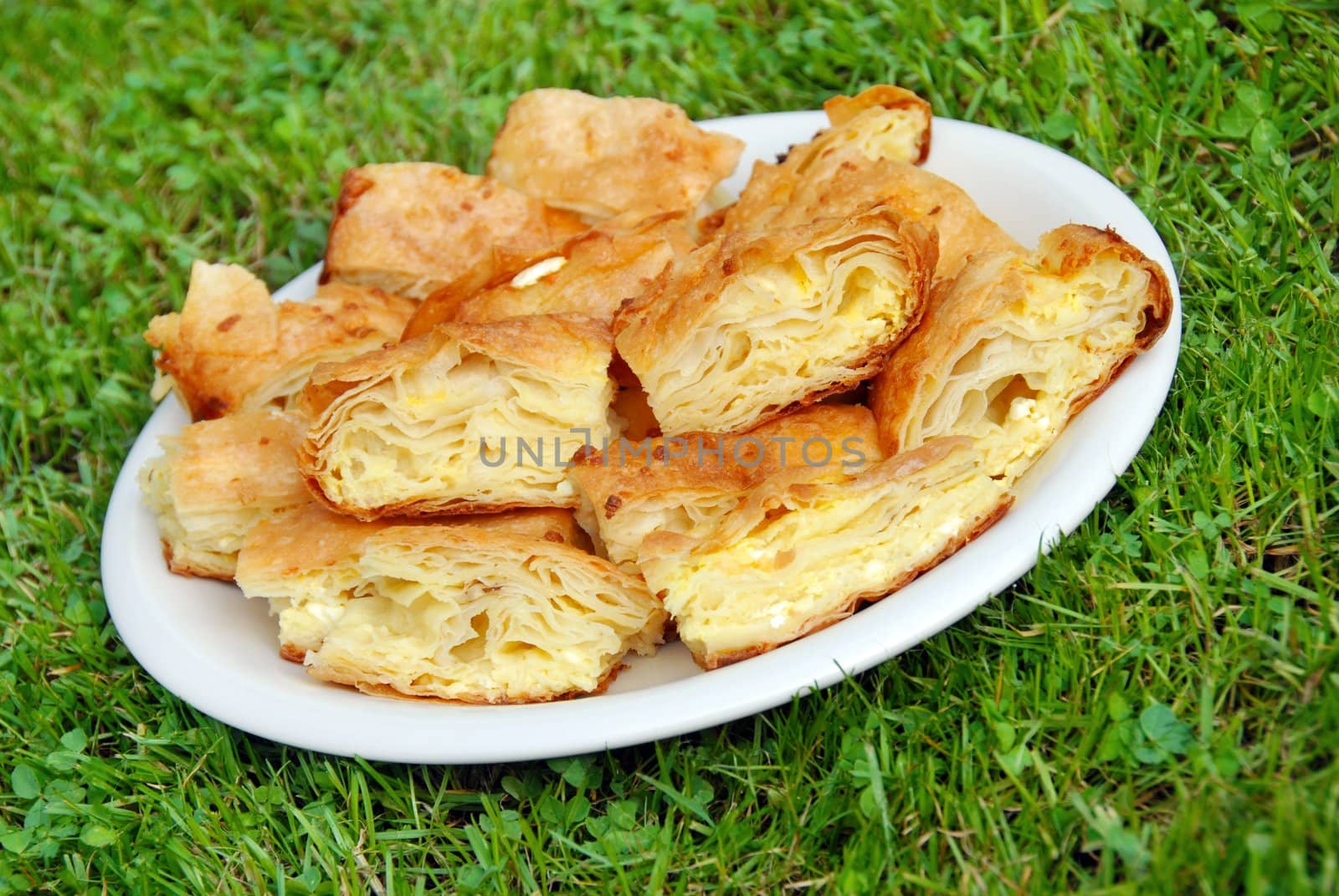 pieces of appetizing homemade baked cheese pie on white  plate over green grass