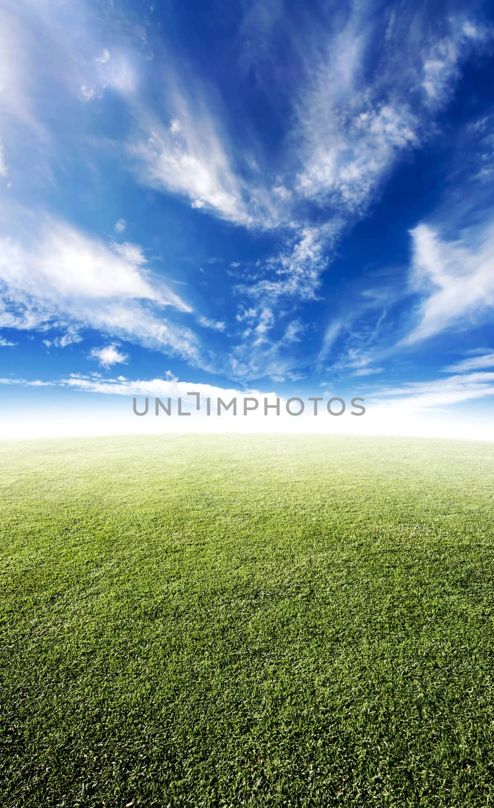 Beautiful colorful meadow photo with wide angle feel.