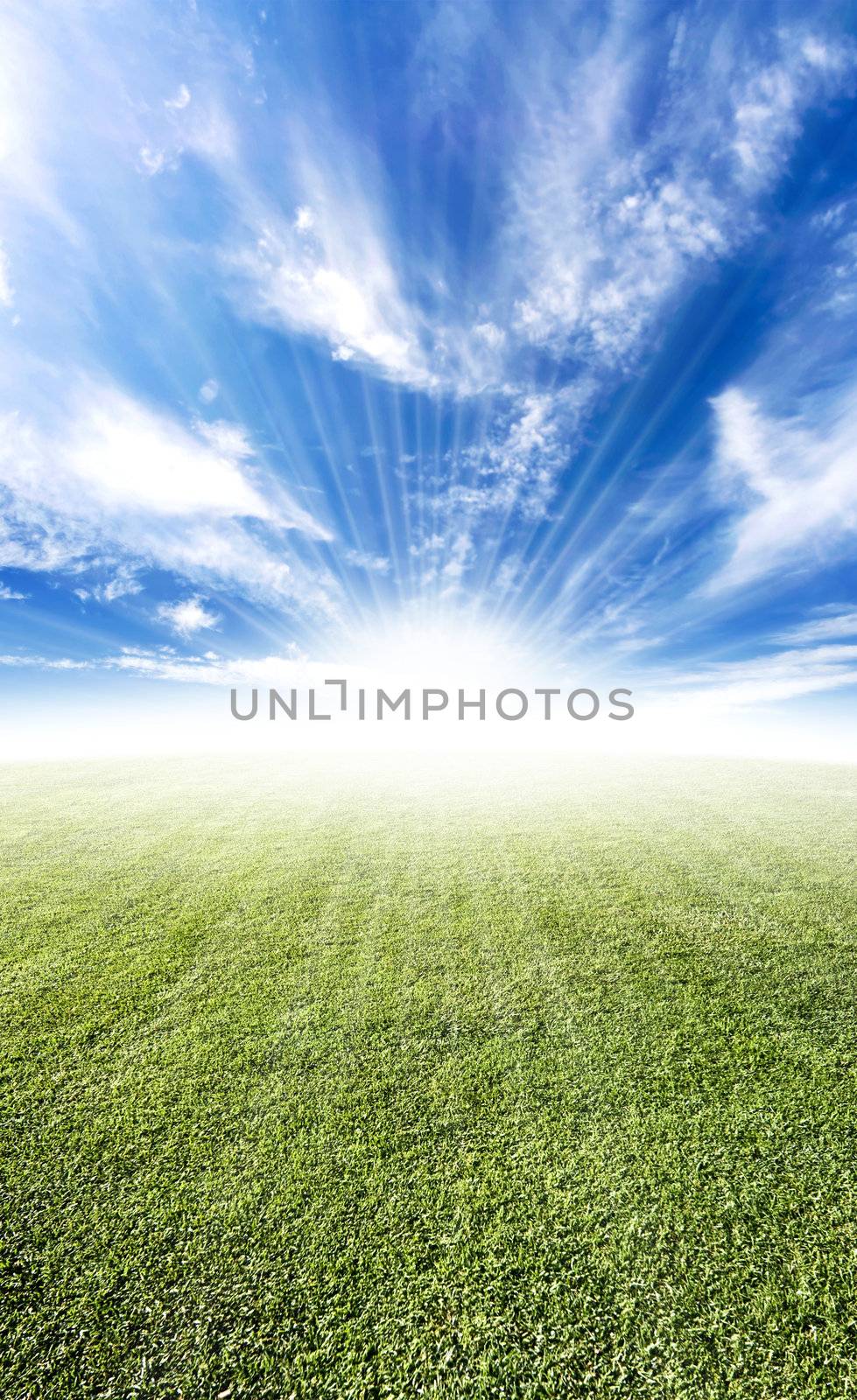 Beautiful sun flare horizon over land meadow photo with bright future concept.