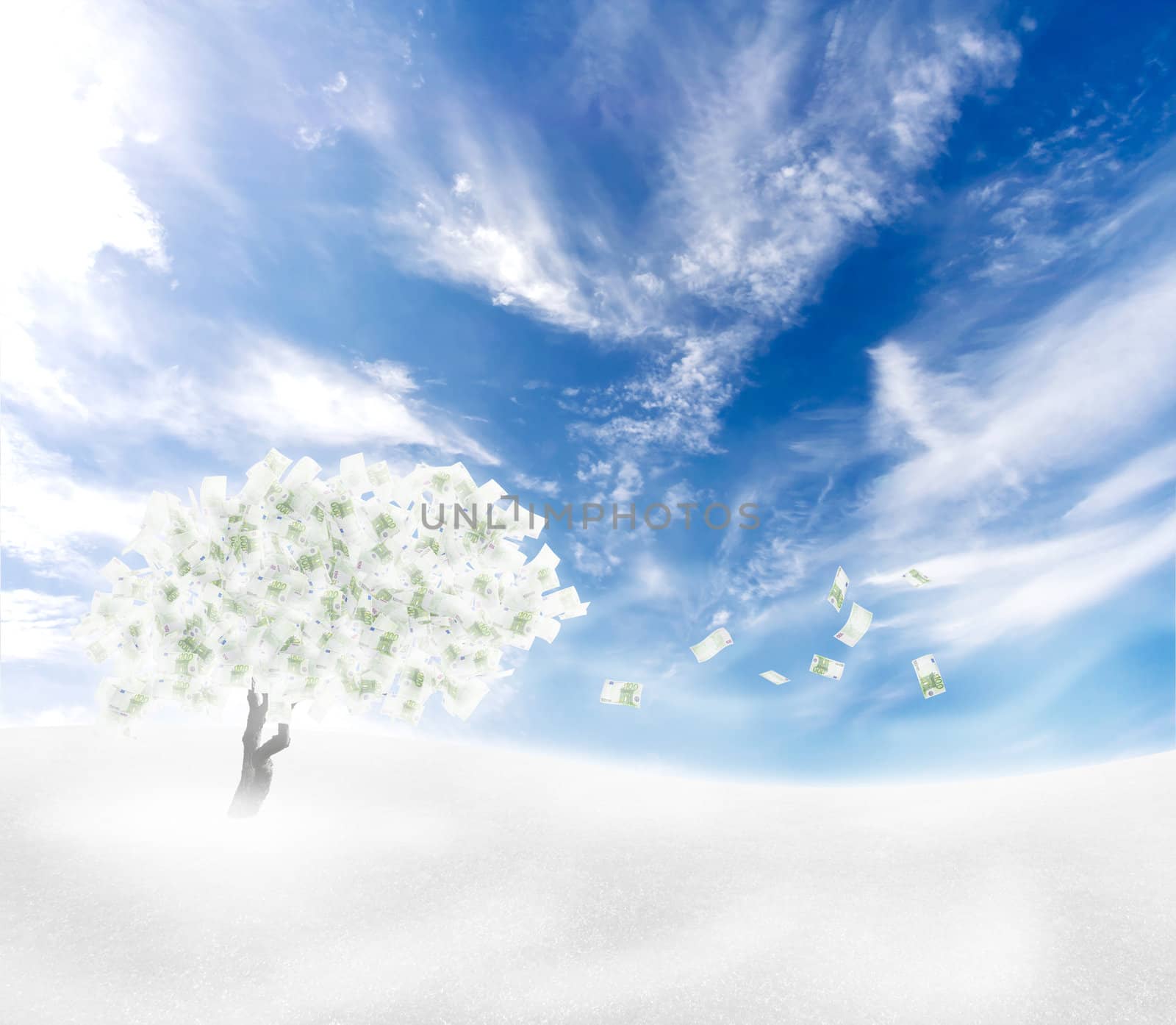 Beautiful scenery with cash tree with falling banknote leaves. Freezing wind crisis concept.