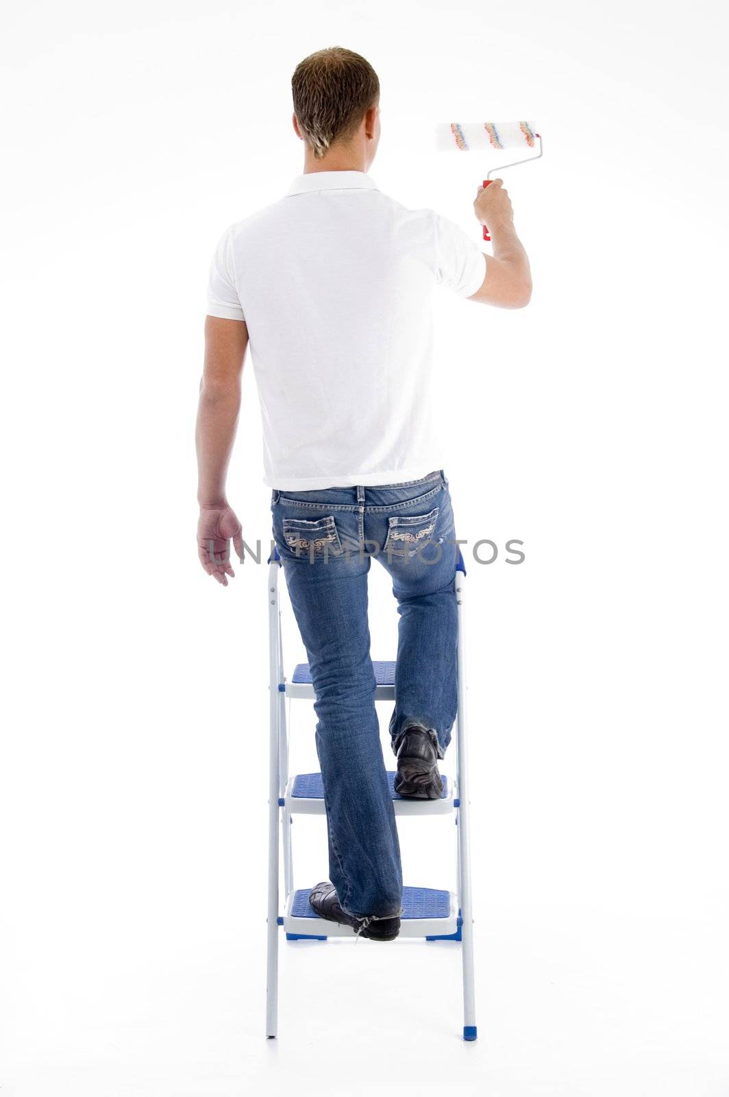 painter standing on stairs on an isolated white background