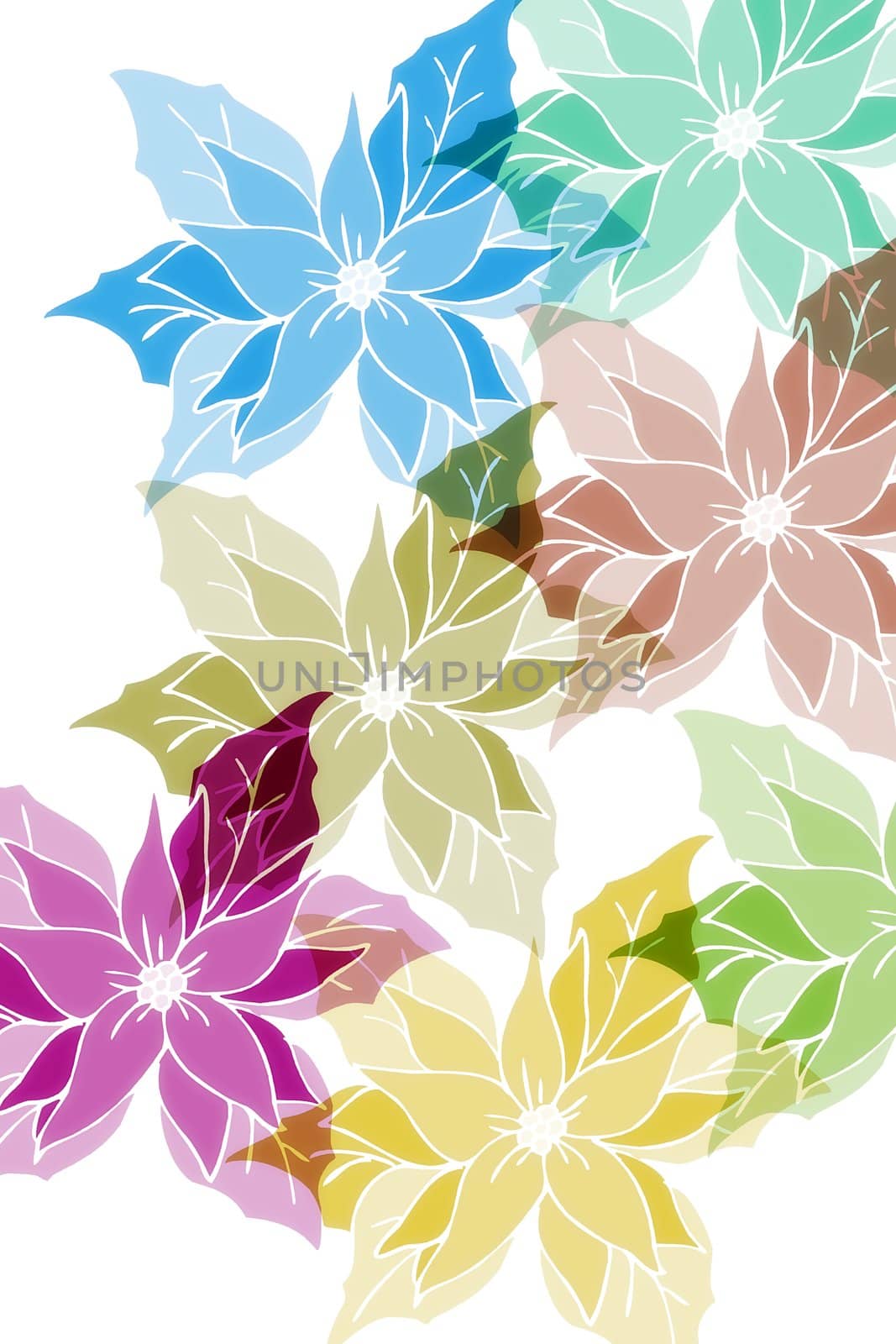 Christmas Roses in bright colors on white background