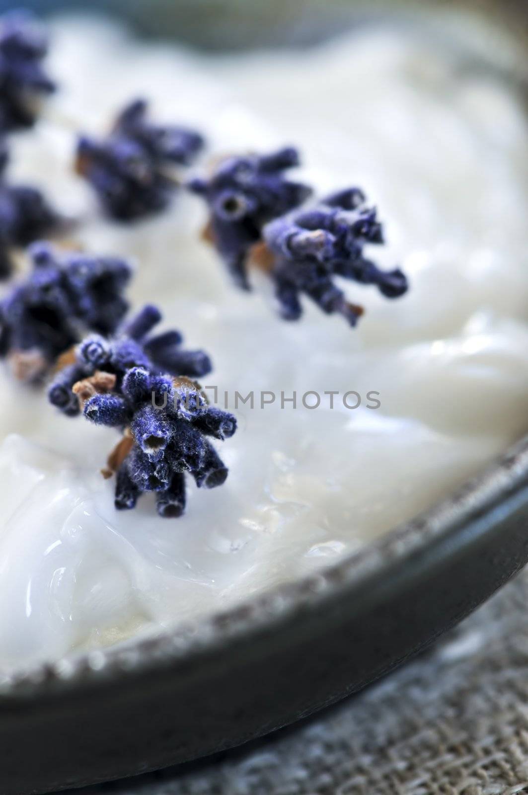 Natural cream skincare with branches of lavender