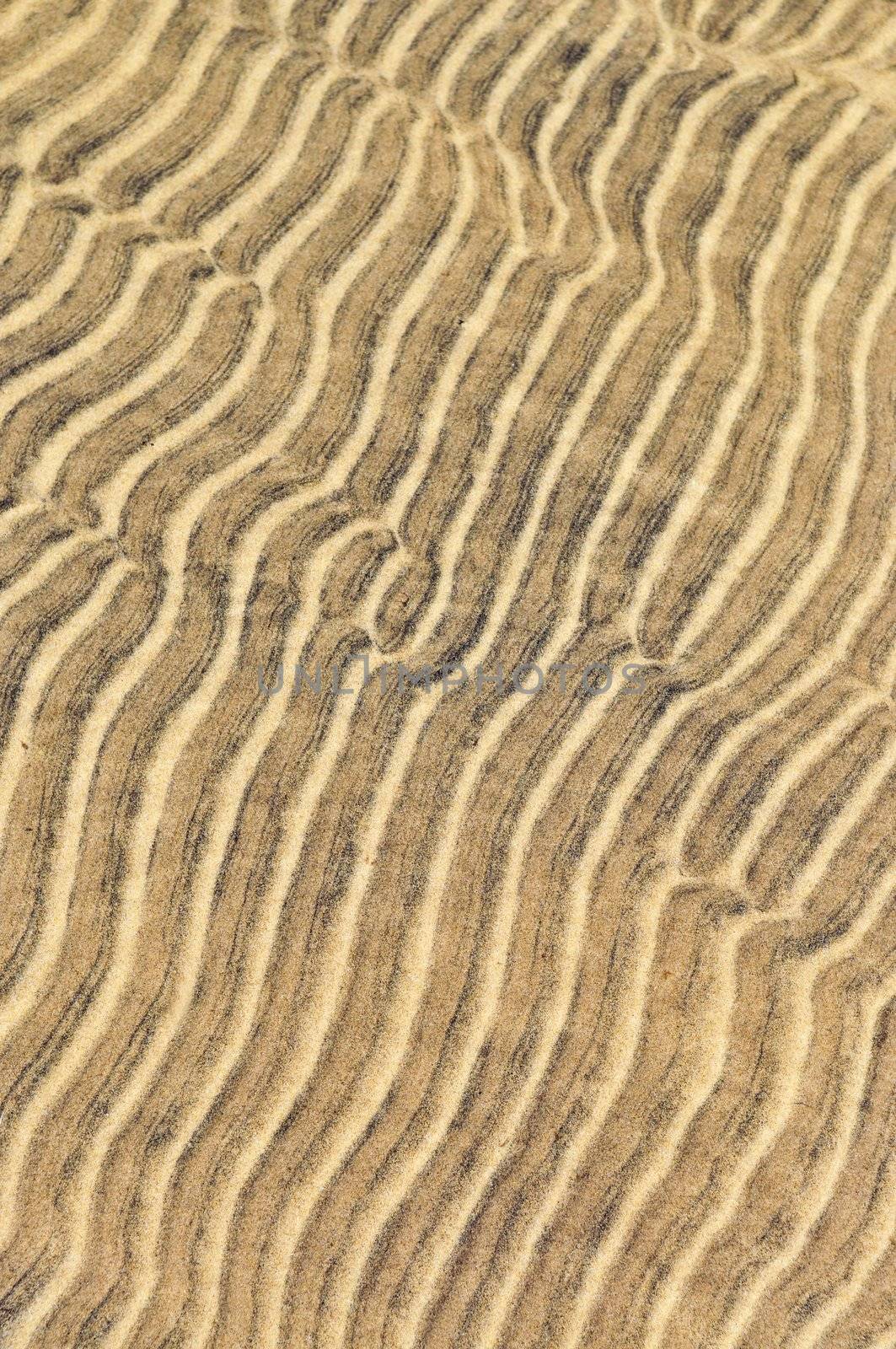 Abstract natural background of sand ripples in shallow water