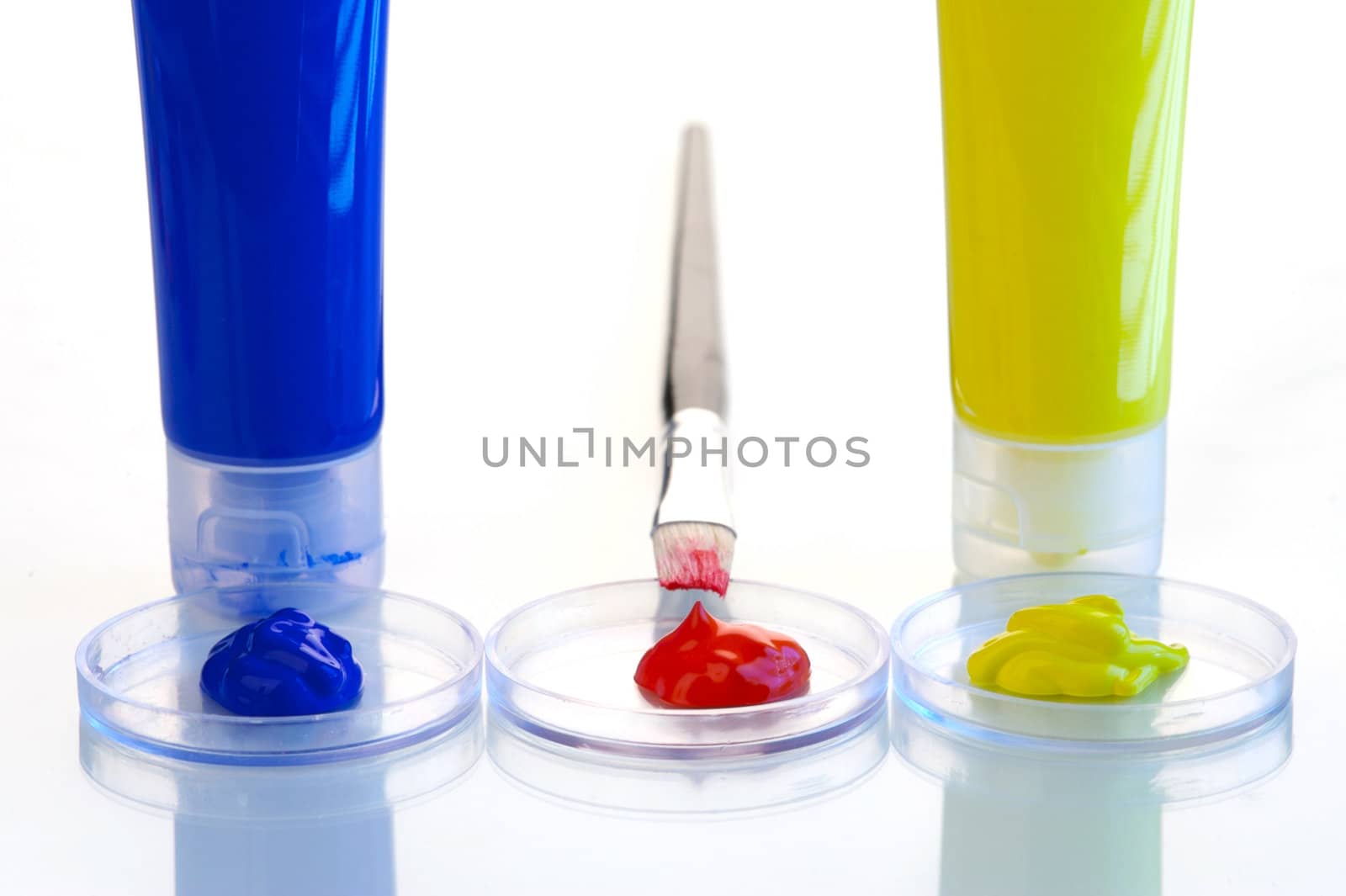 Acrylic paints isolated on a white background