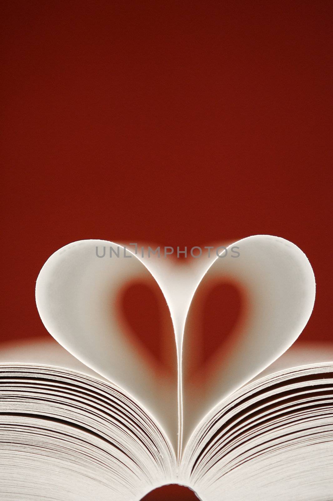 A love heart amongst the pages