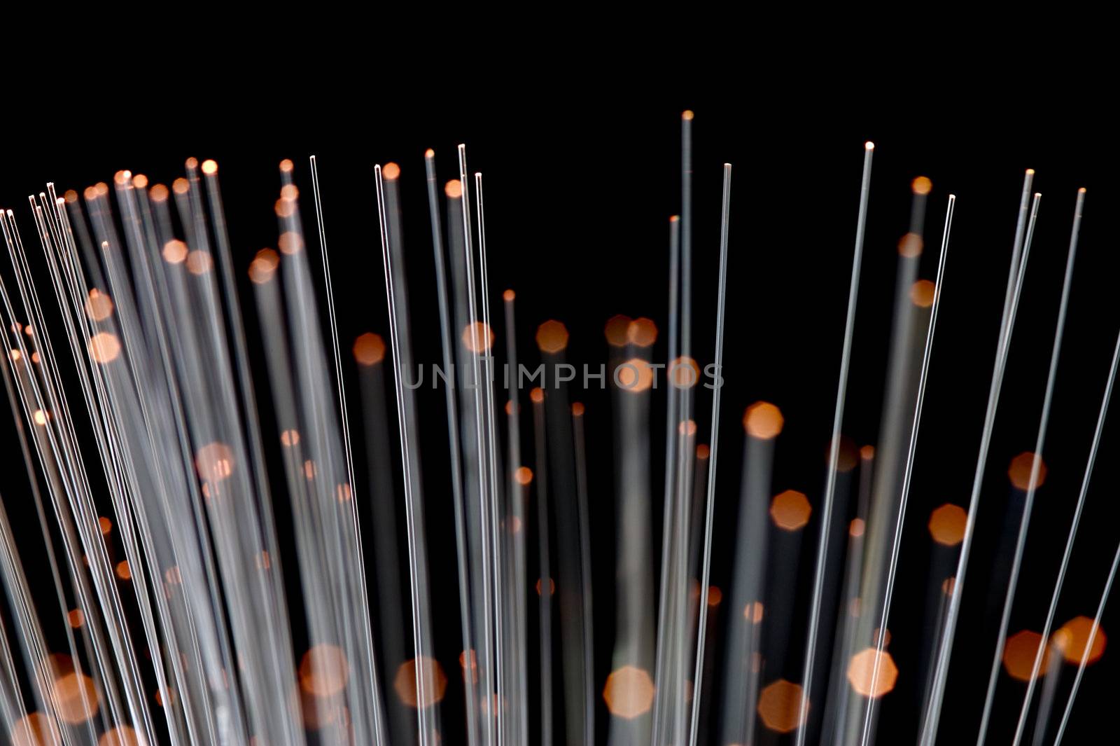 Optic Fibers by Kitch