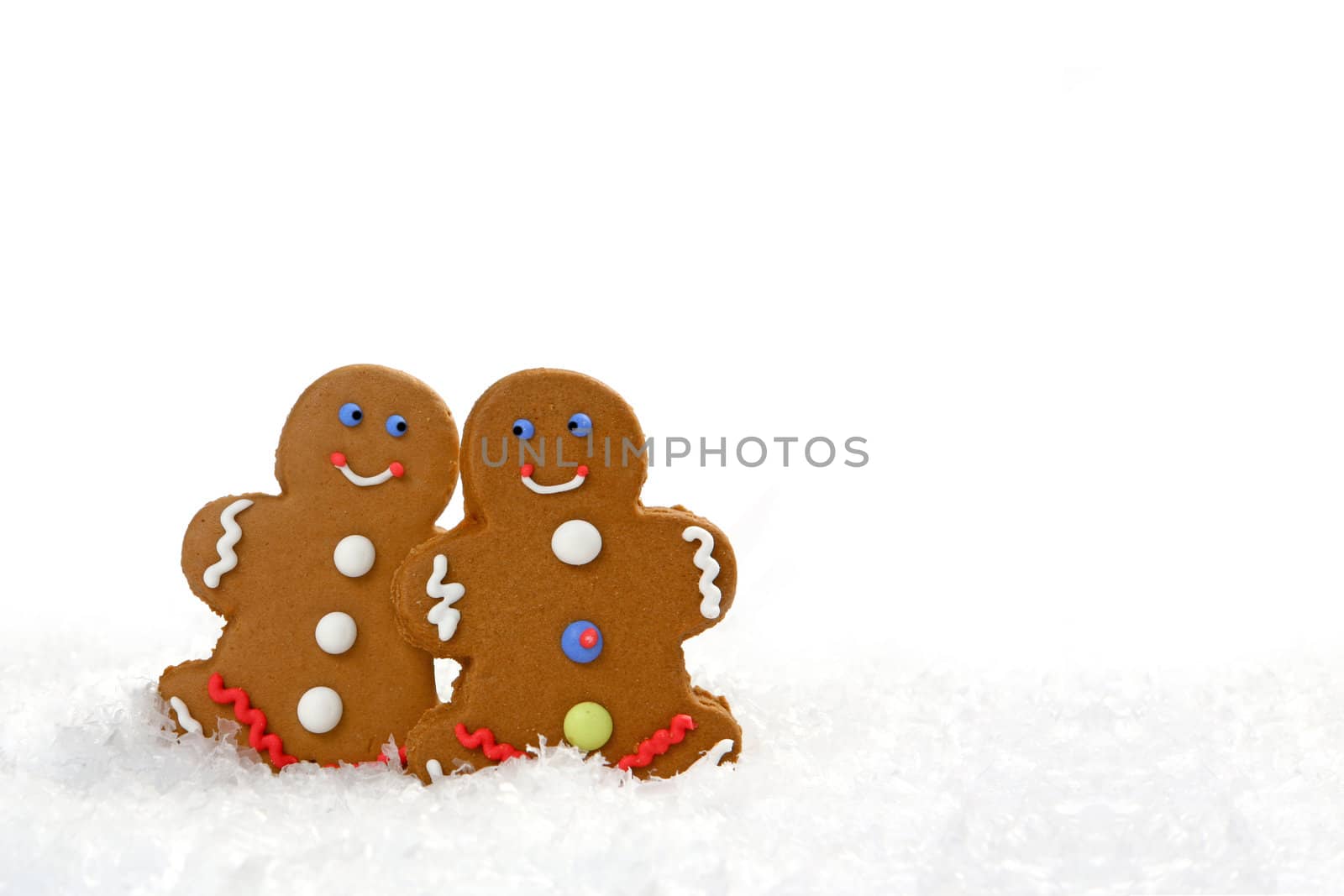 Happy Gingerbread Couple Looking at Eachother in Love with Copy Space