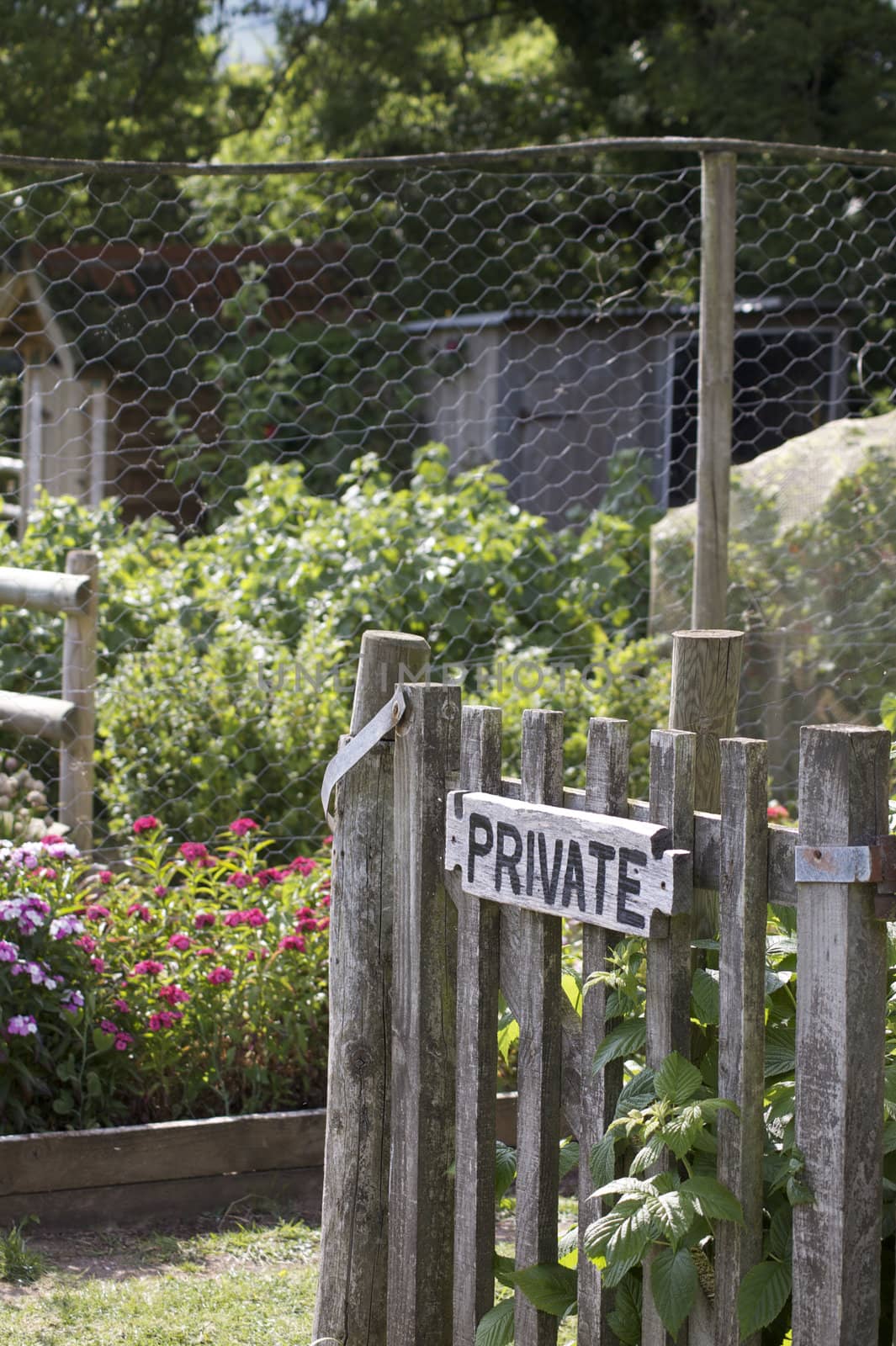 A wooden garden gate with a hand painted sign with the word private nailed to its front. The gate is the entrance to a vegetable garden and allotment located in rural Devonshire countryside, England.