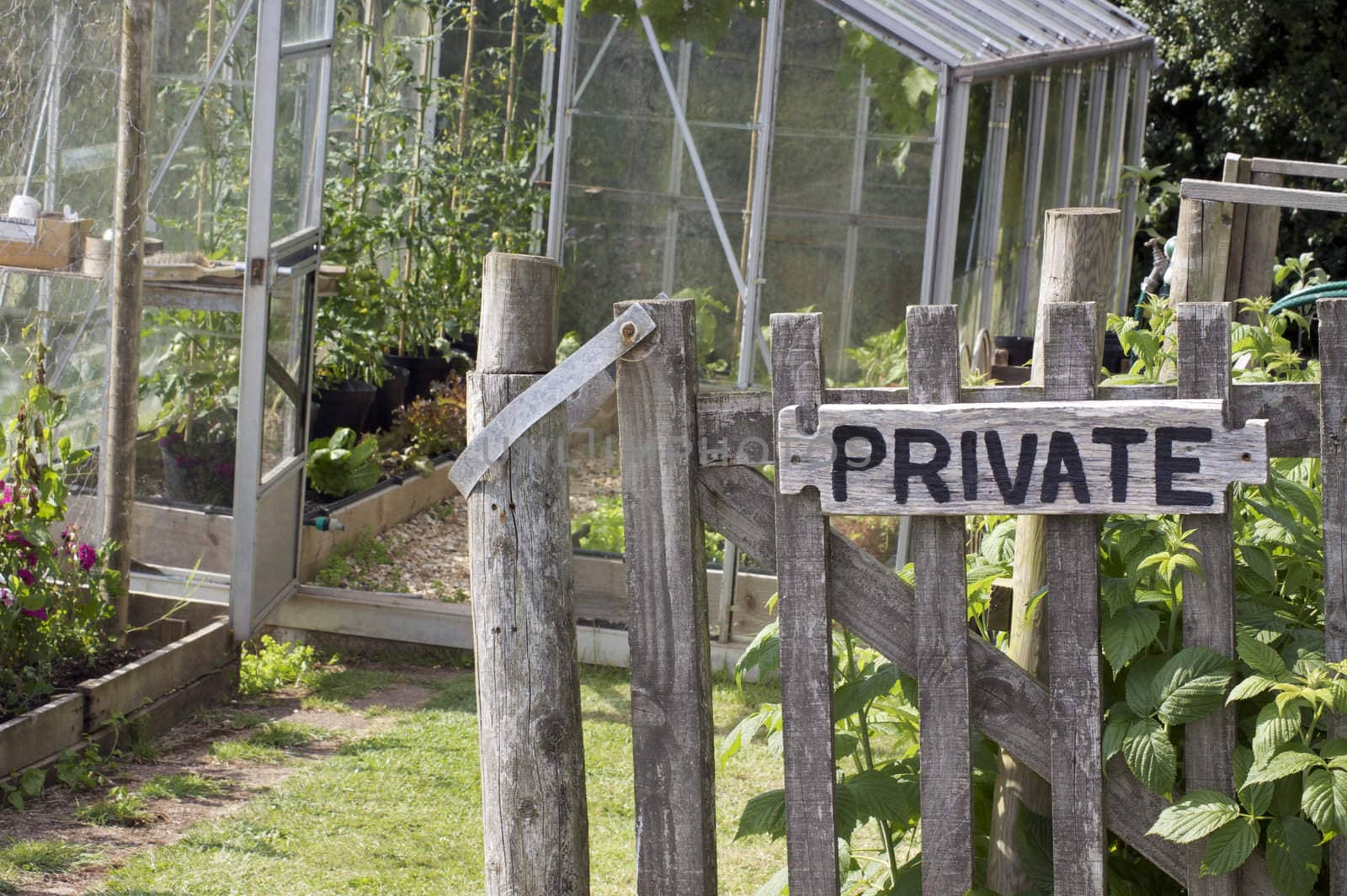 A wooden garden gate with a hand painted sign with the word private nailed to its front. The gate is the entrance to a vegetable garden and allotment located in rural Devonshire countryside, England. A glass greenhouse is visible to the background.