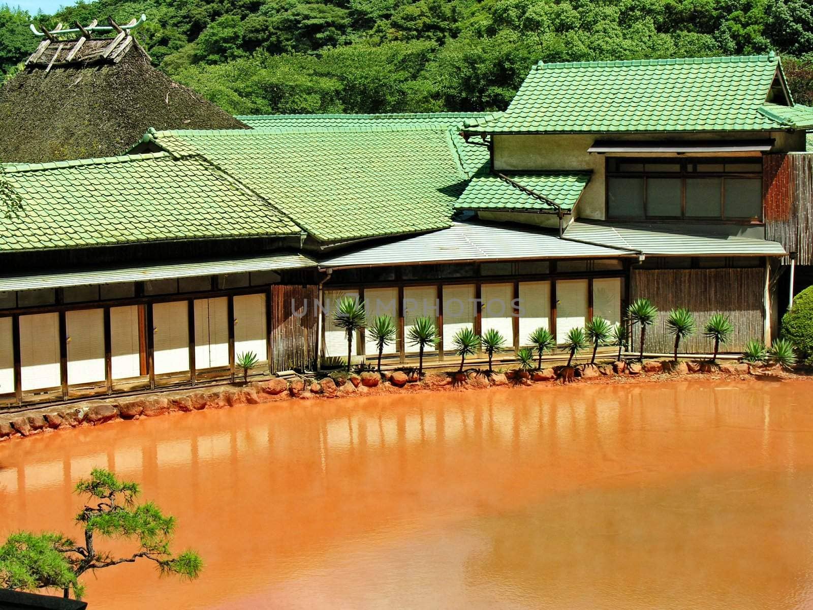 Thremal hot pond in Japan, the hells hot spring, Beppu