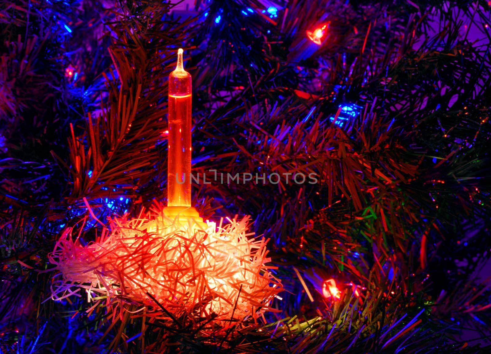 Christmas Tree Light Shining in the Dark